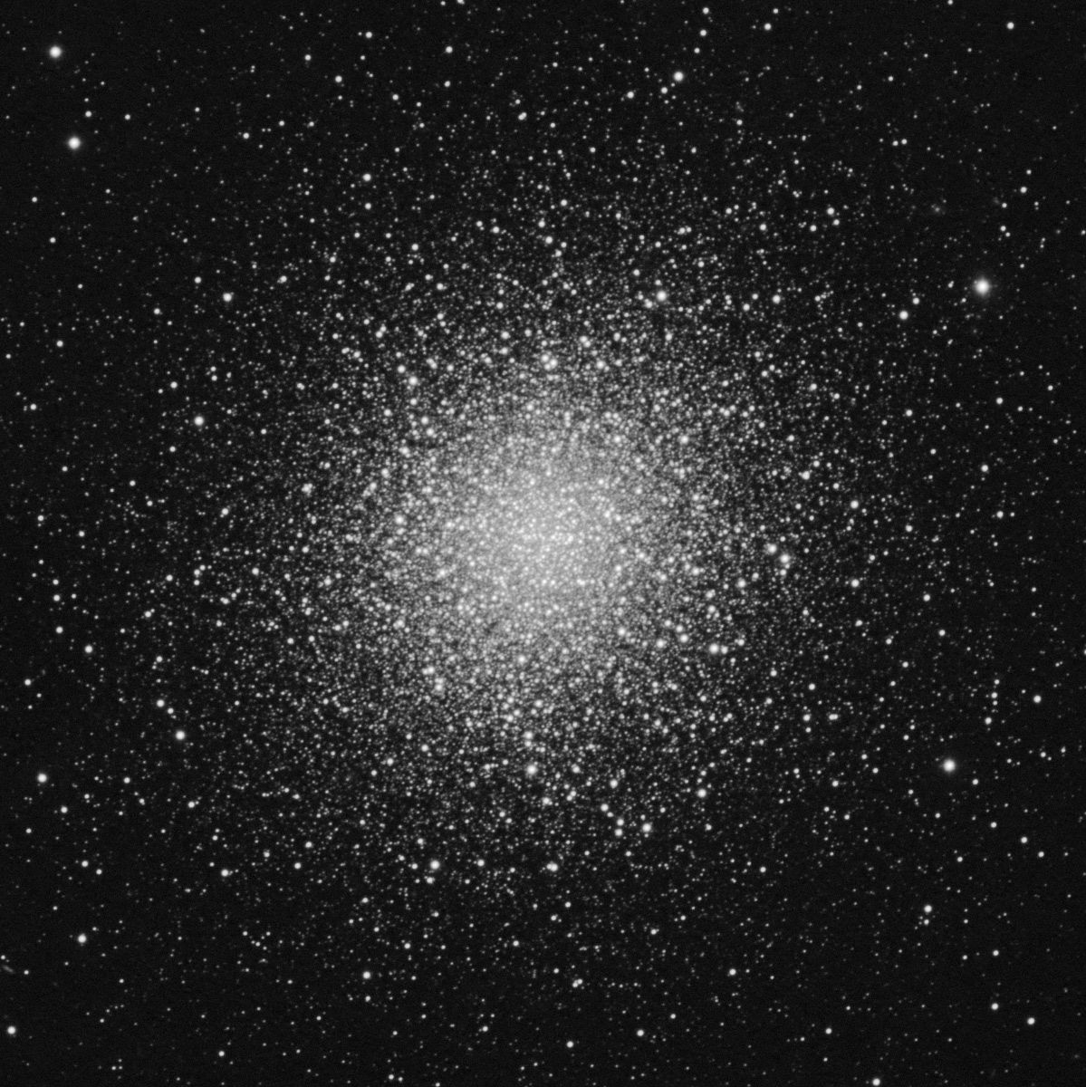 M13_TEC_L_1200_Cropp.jpg