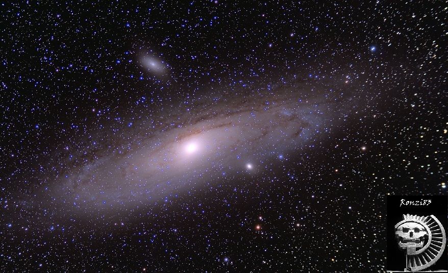 M31