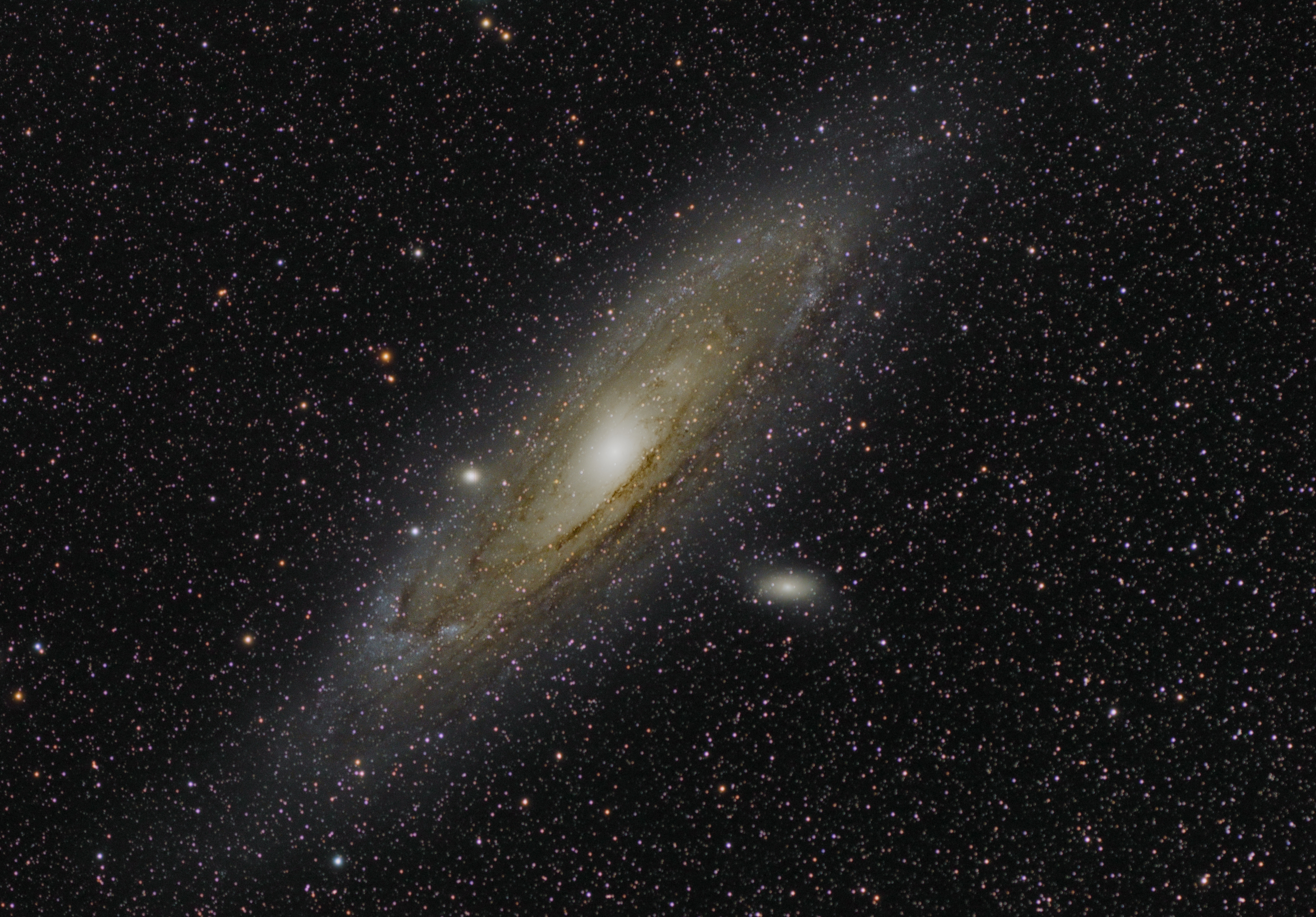 M31