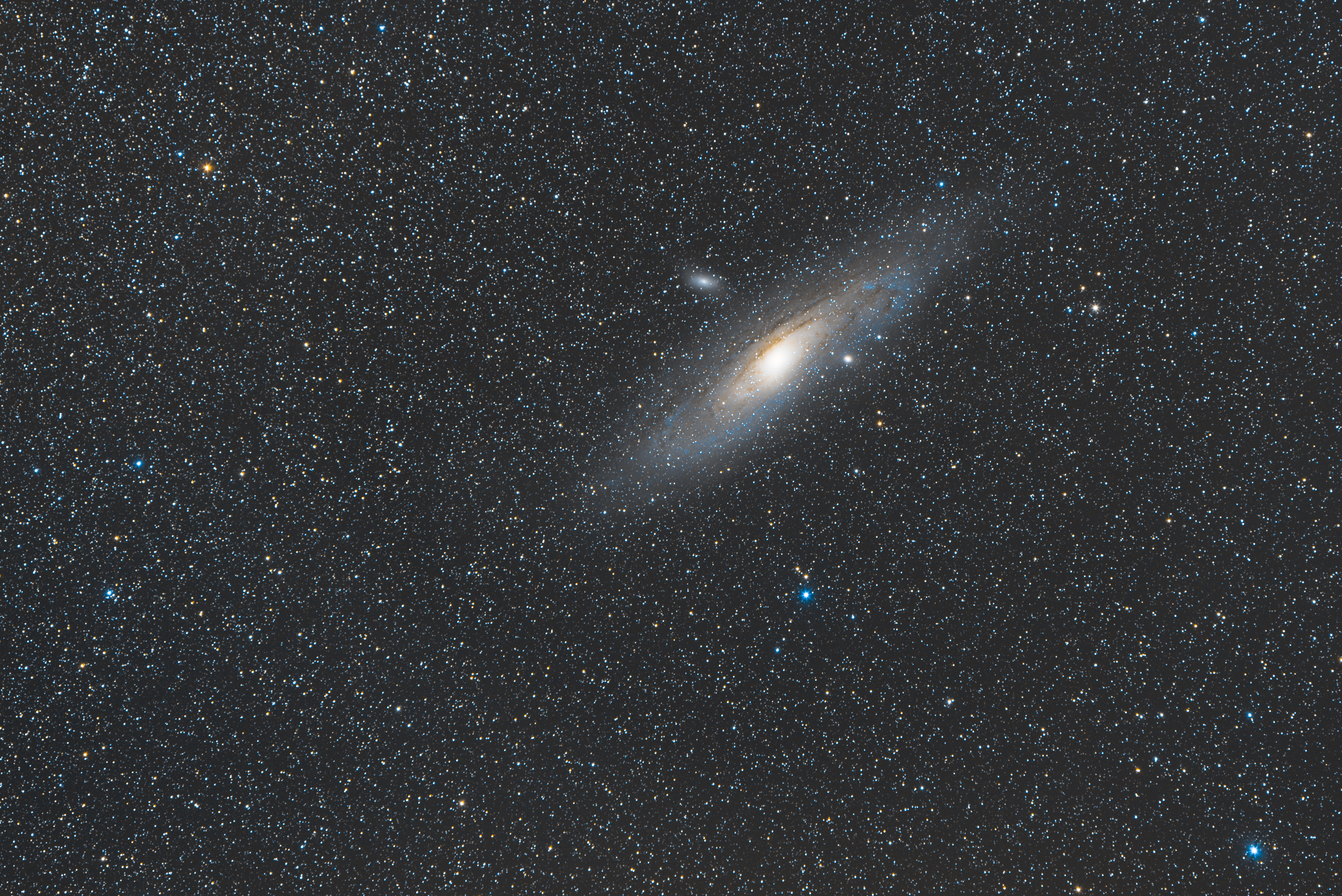 M31