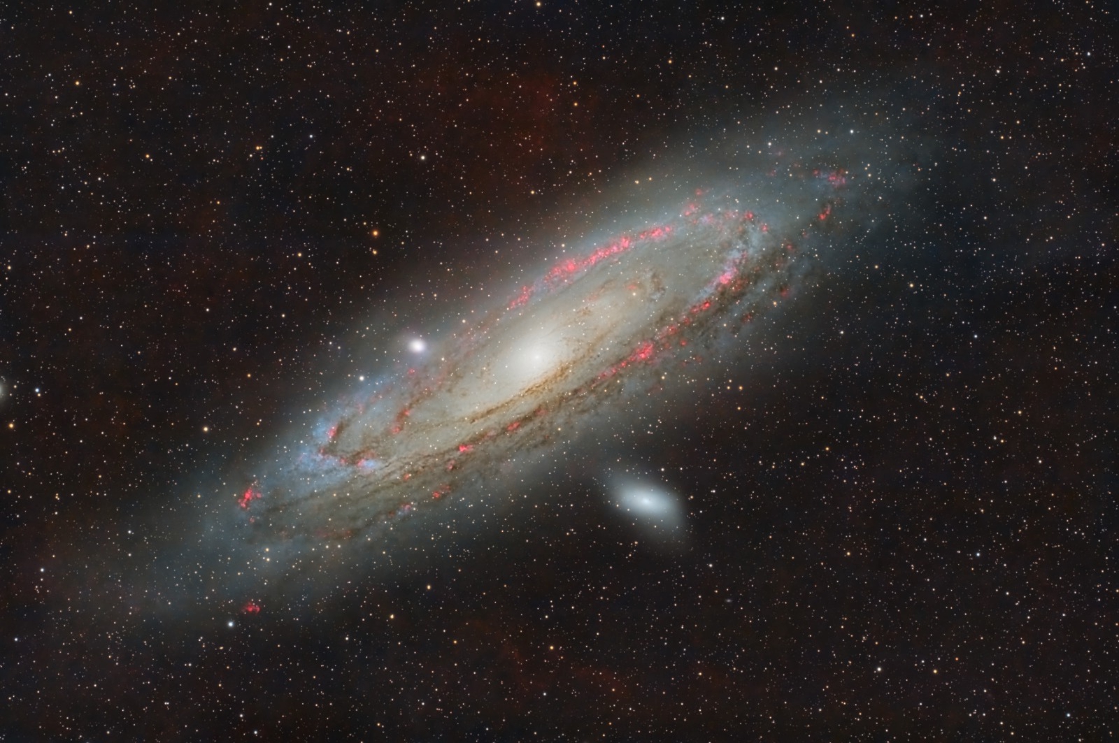 M31