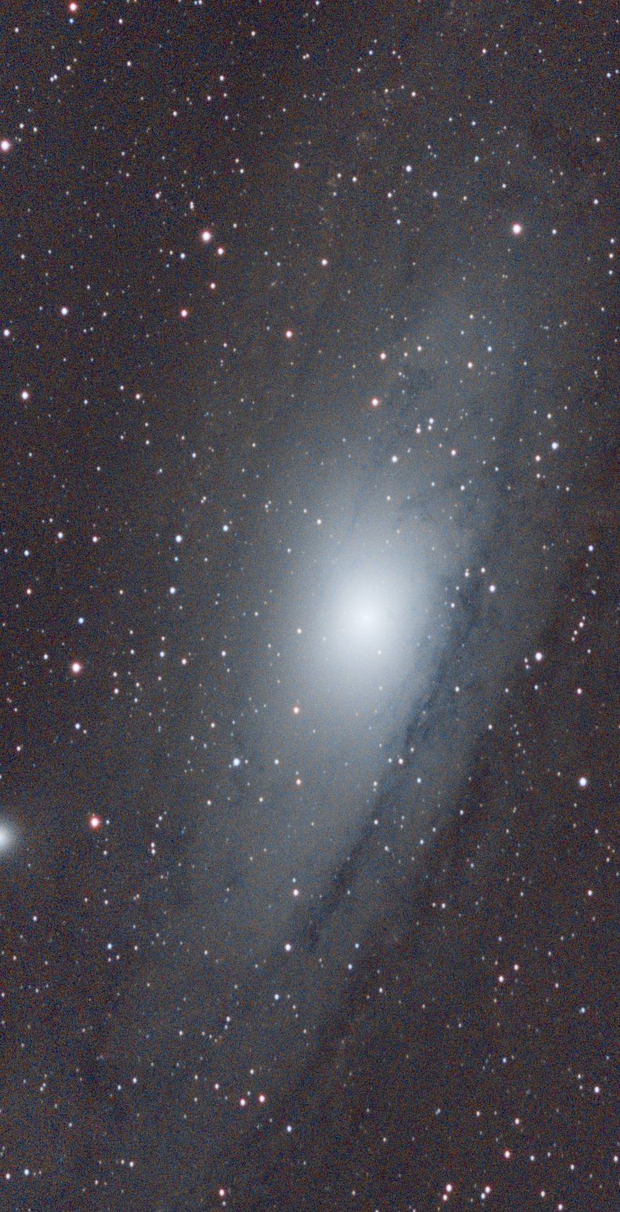 M31