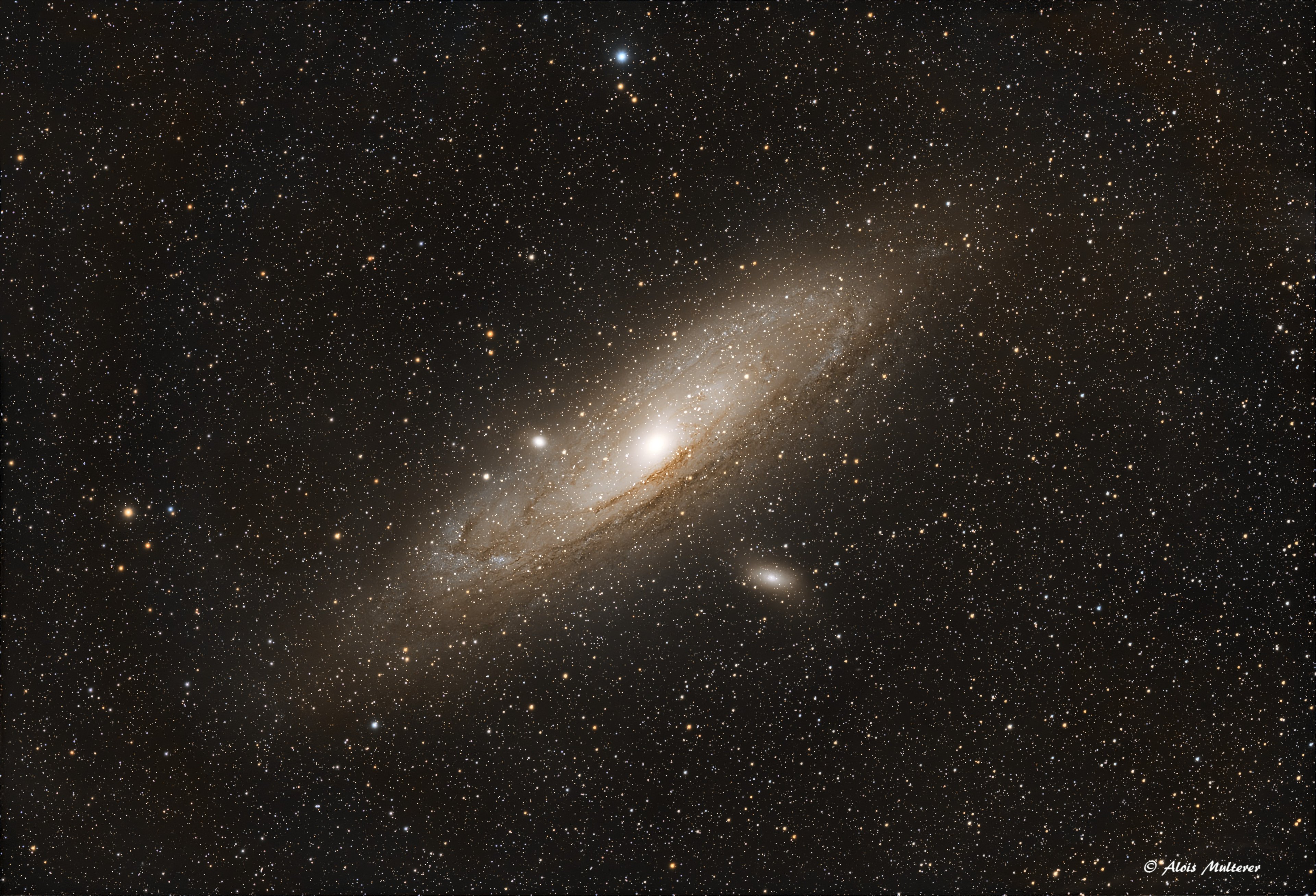 M31