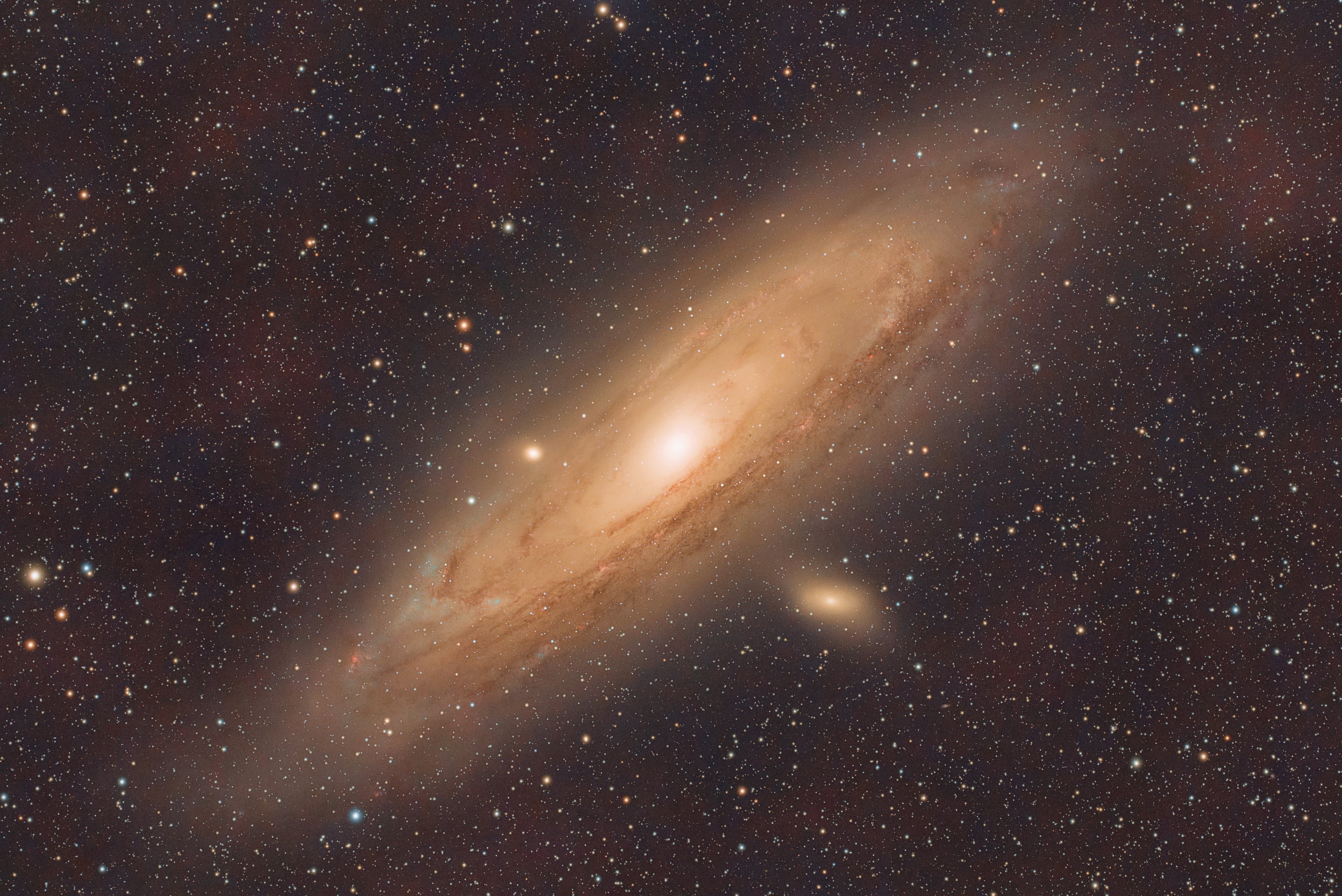 M31