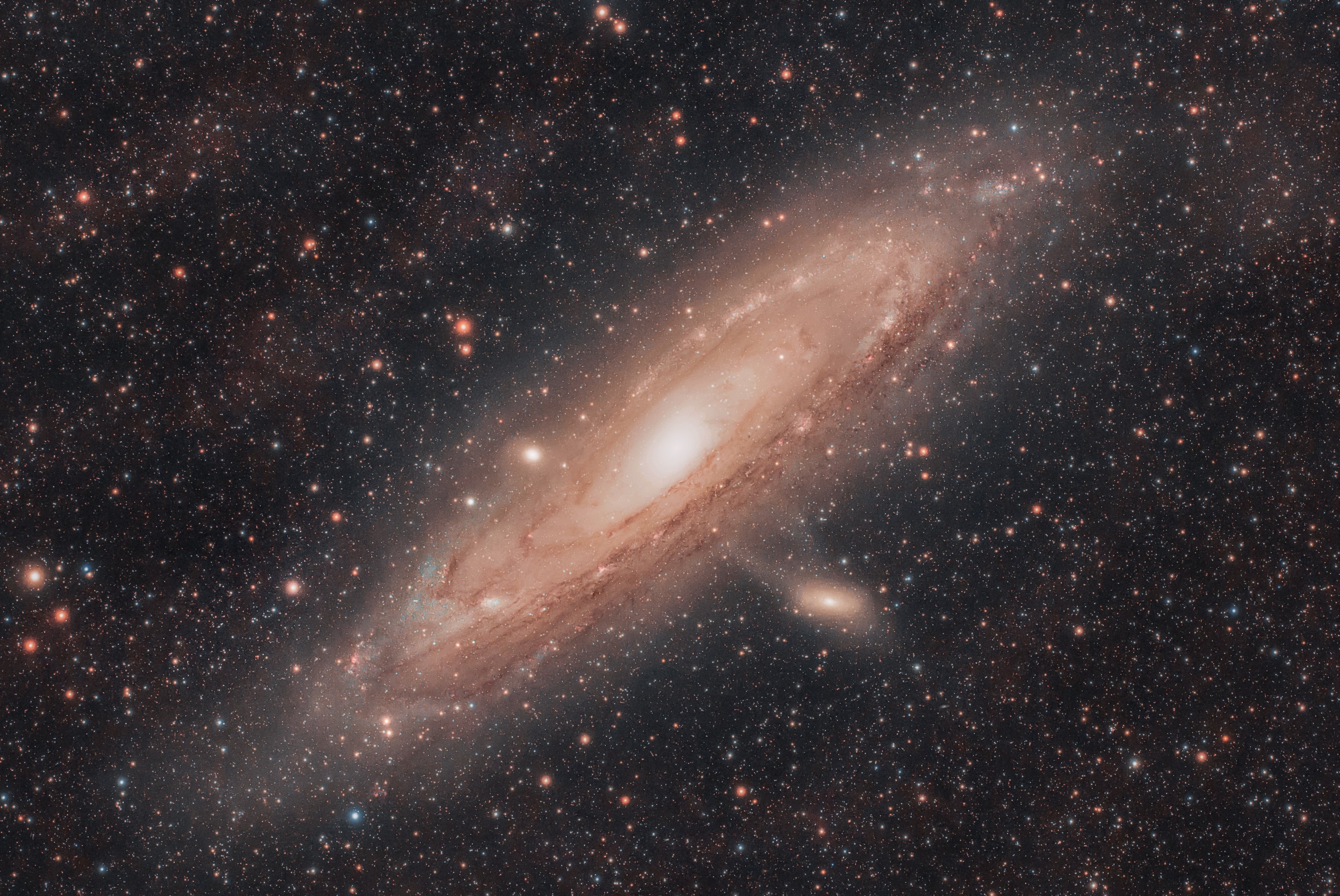 M31