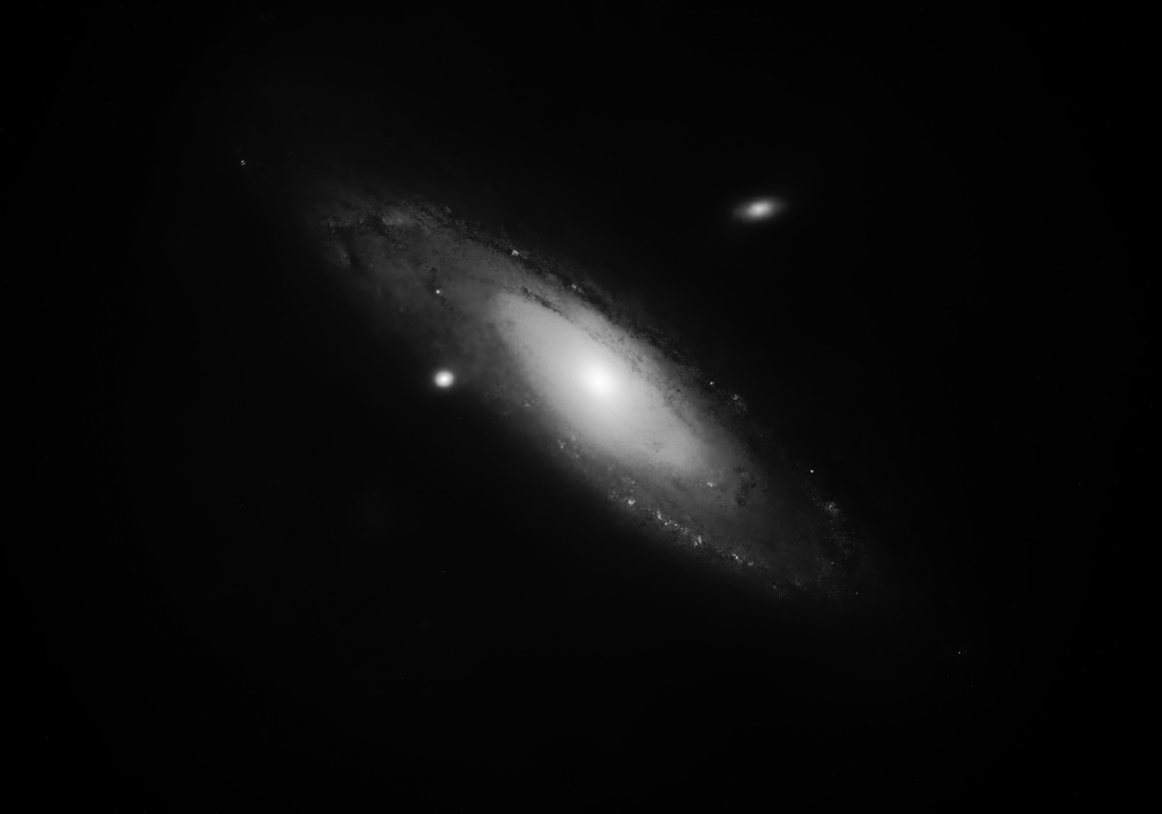 M31_Ha_mono-Hydrogen-alpha-starless.jpg