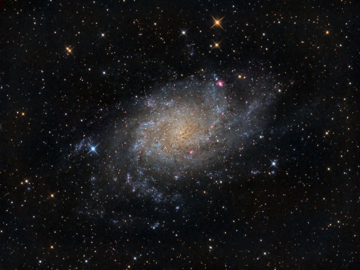 M33