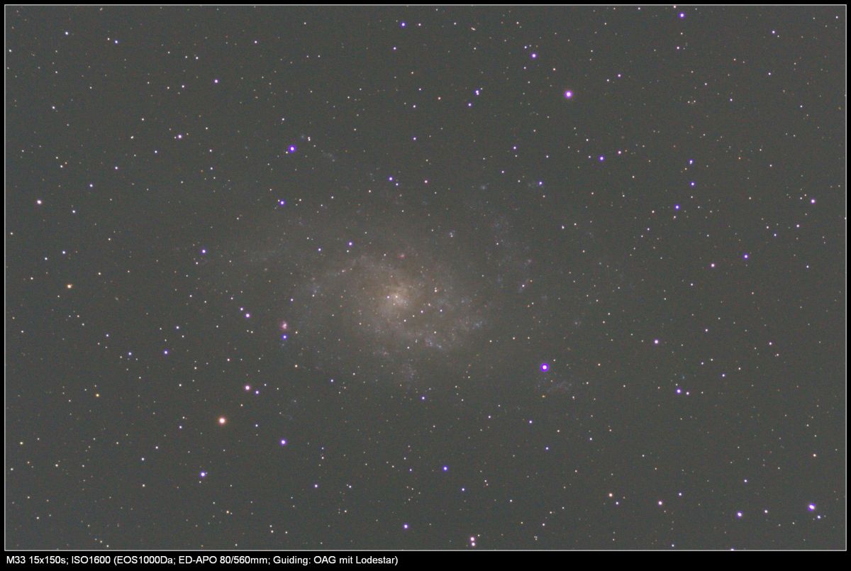 M33
