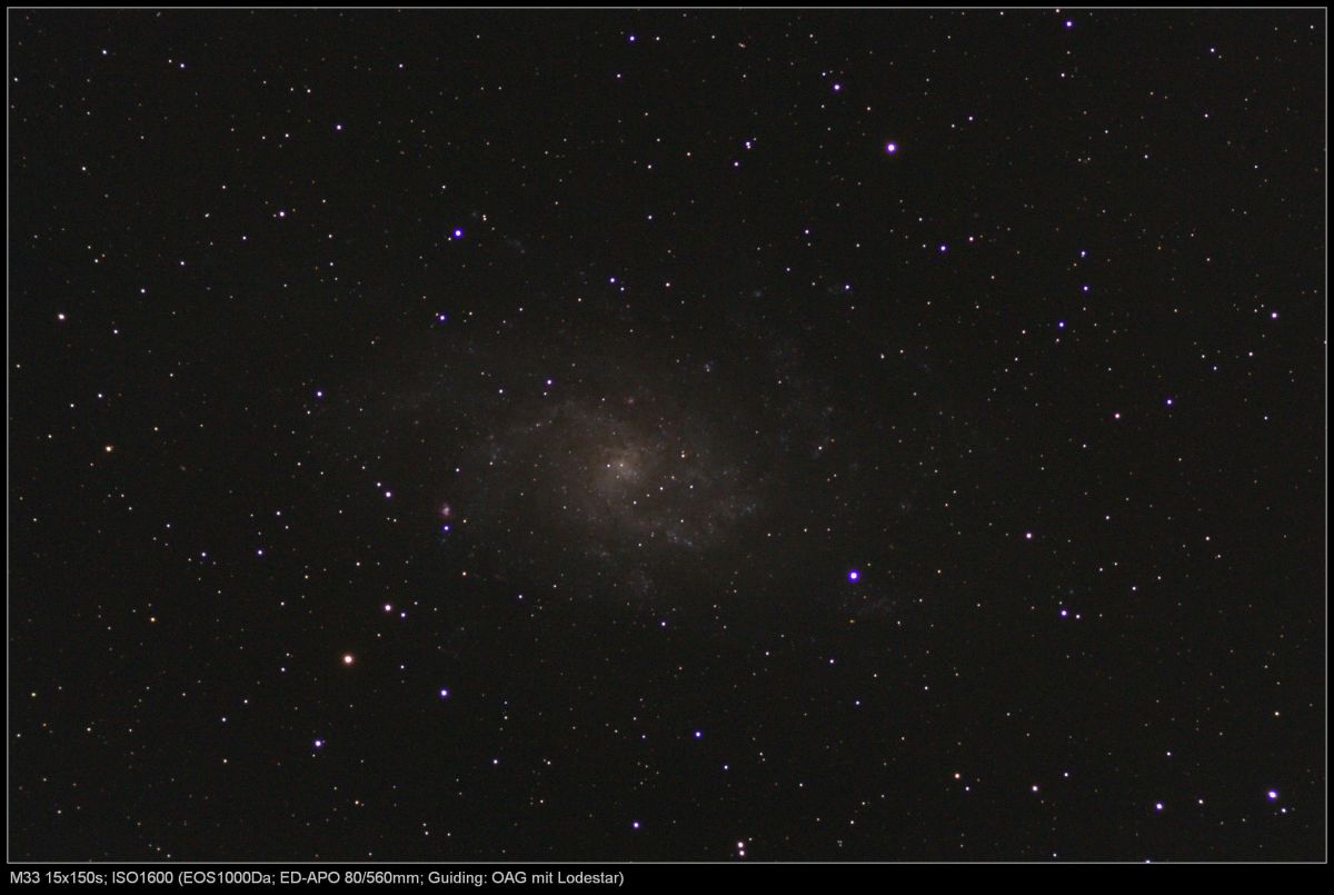 M33