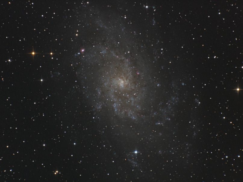 M33