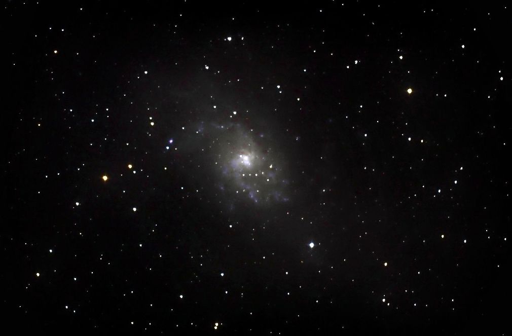 M33
