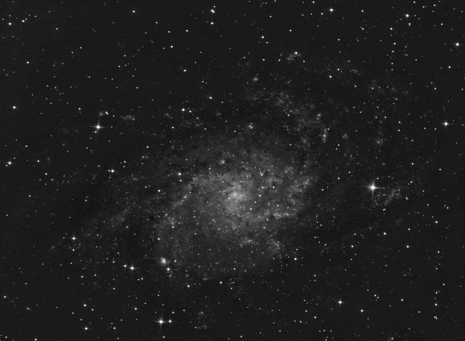 M33