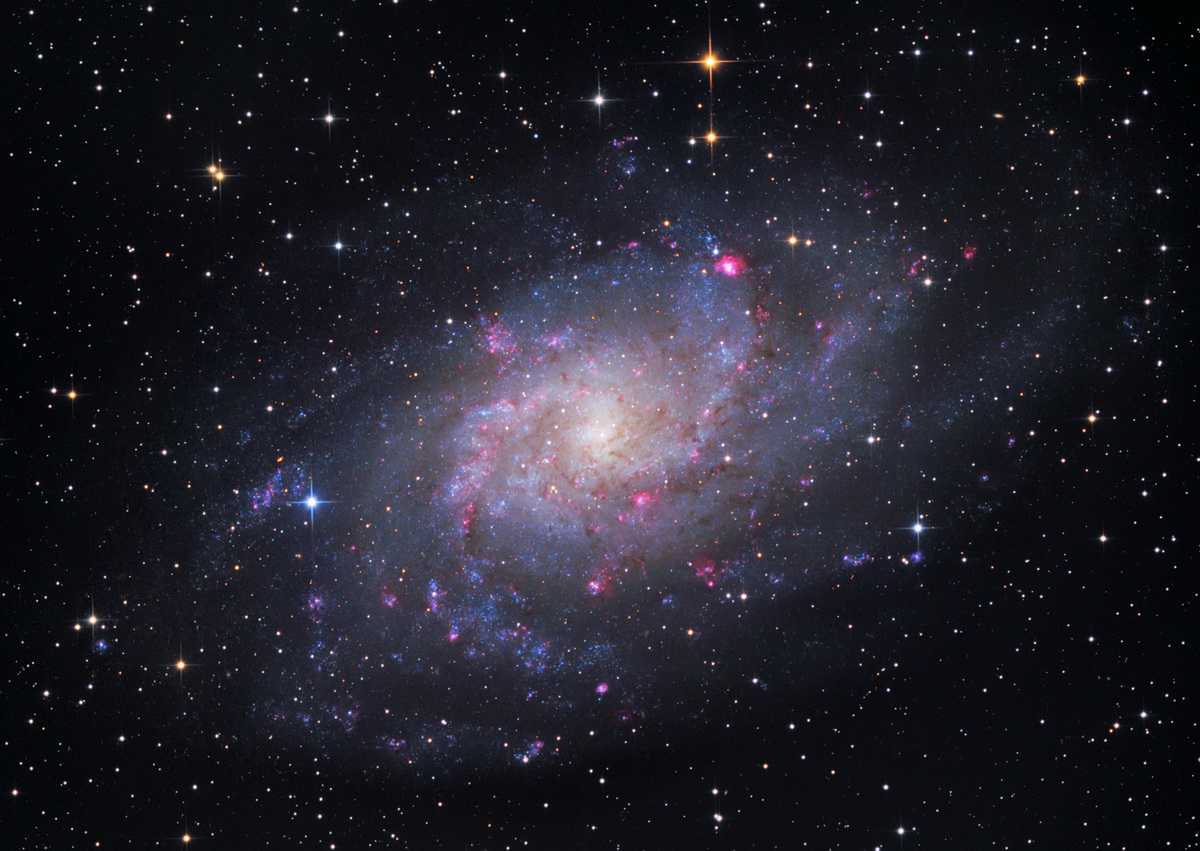 M33
