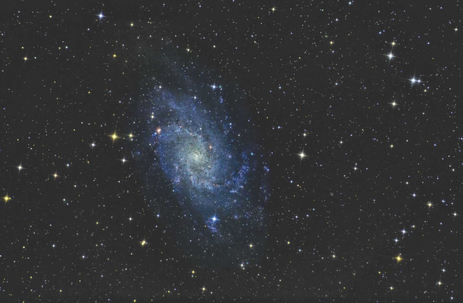 M33
