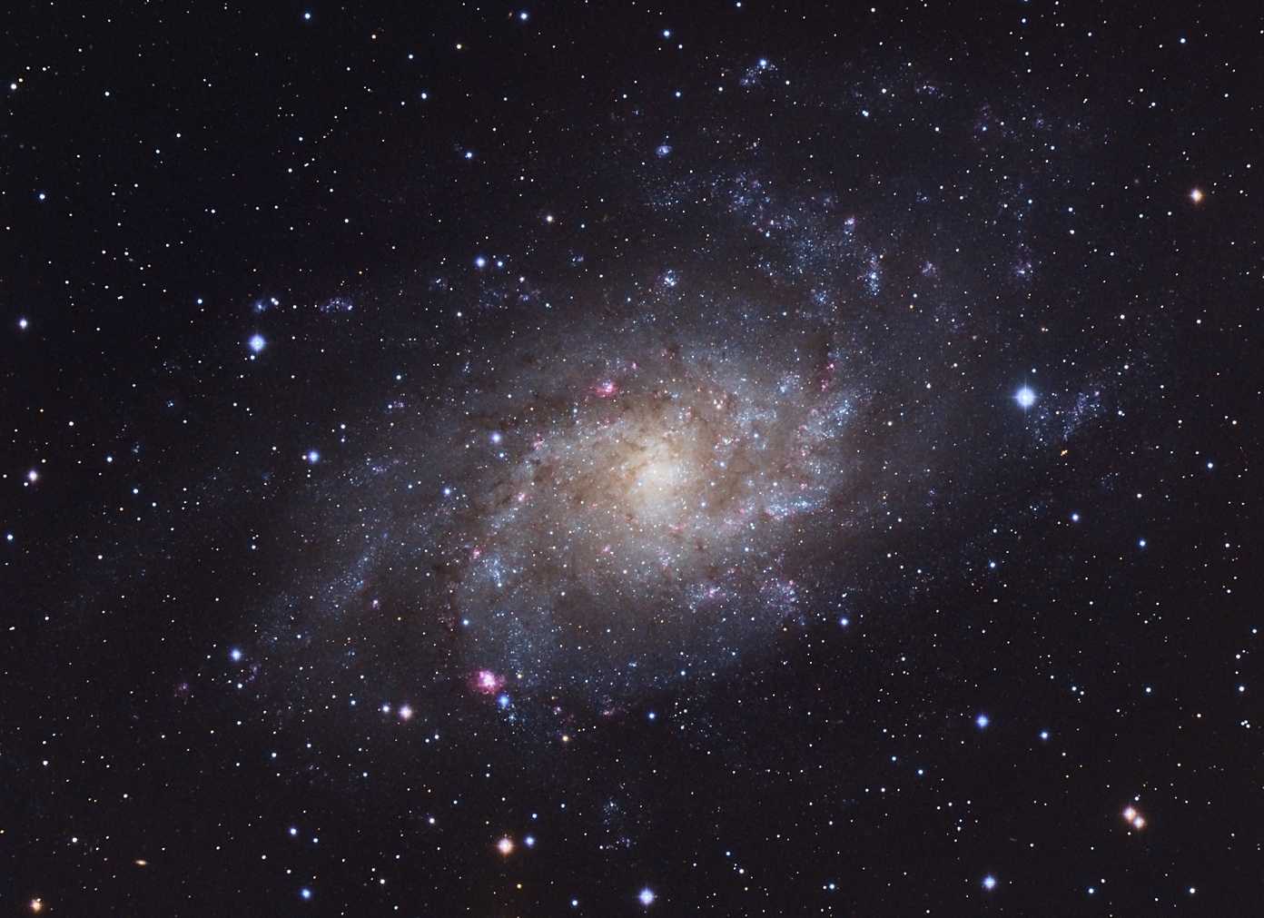 M33