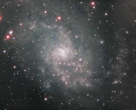M33