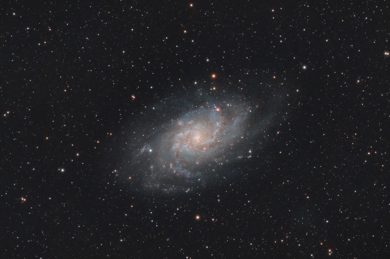 M33