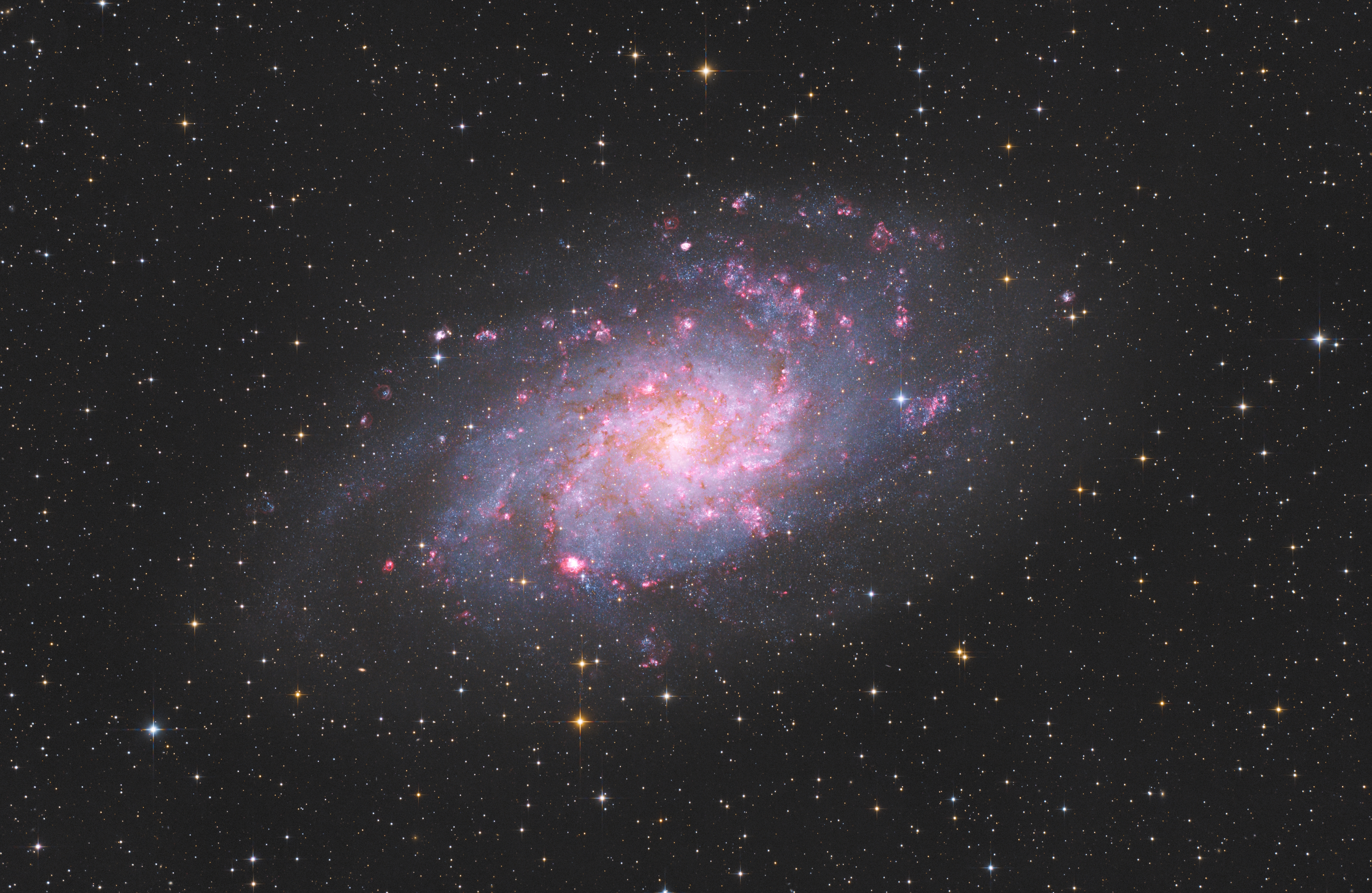 M33