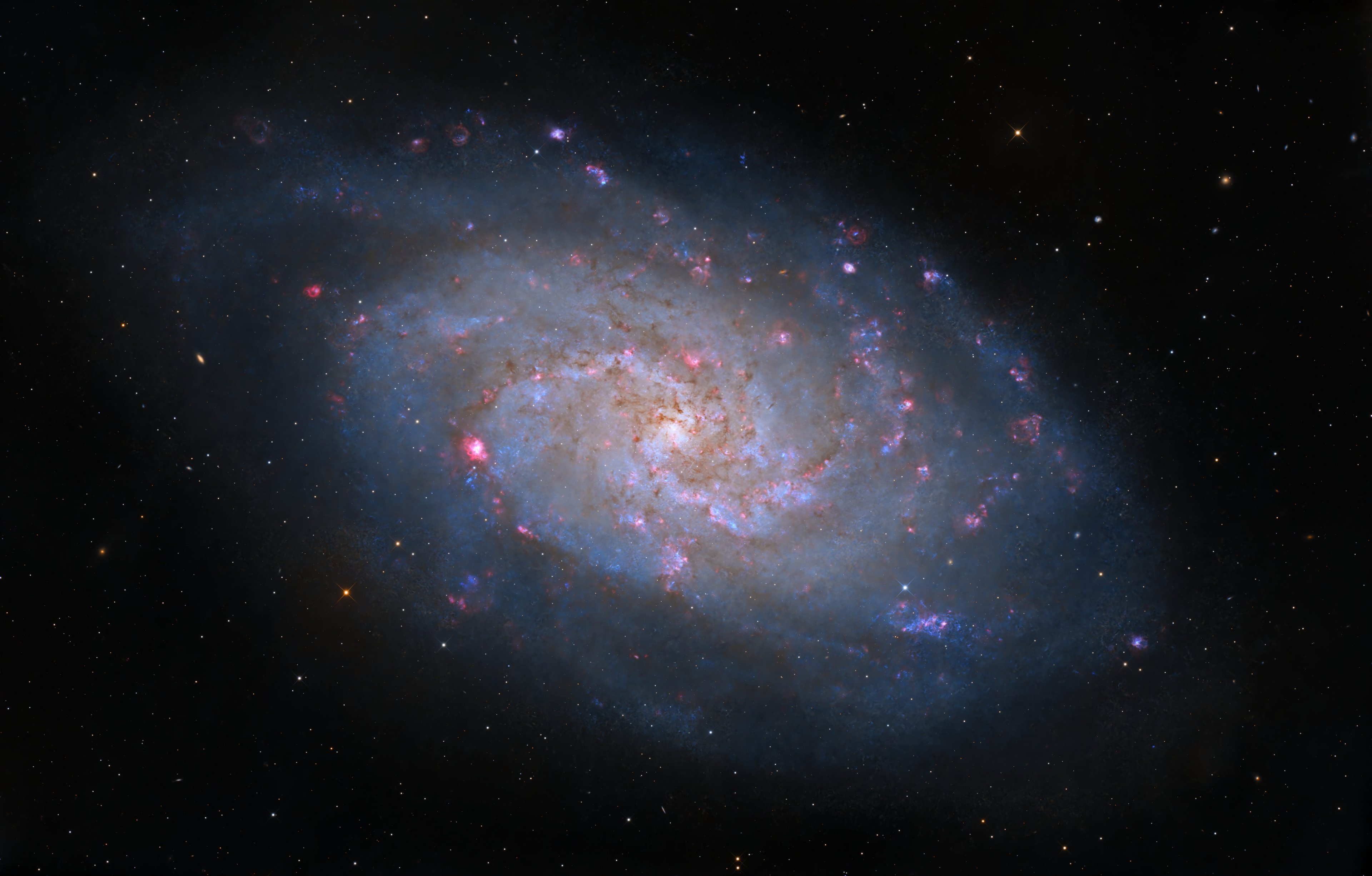 M33