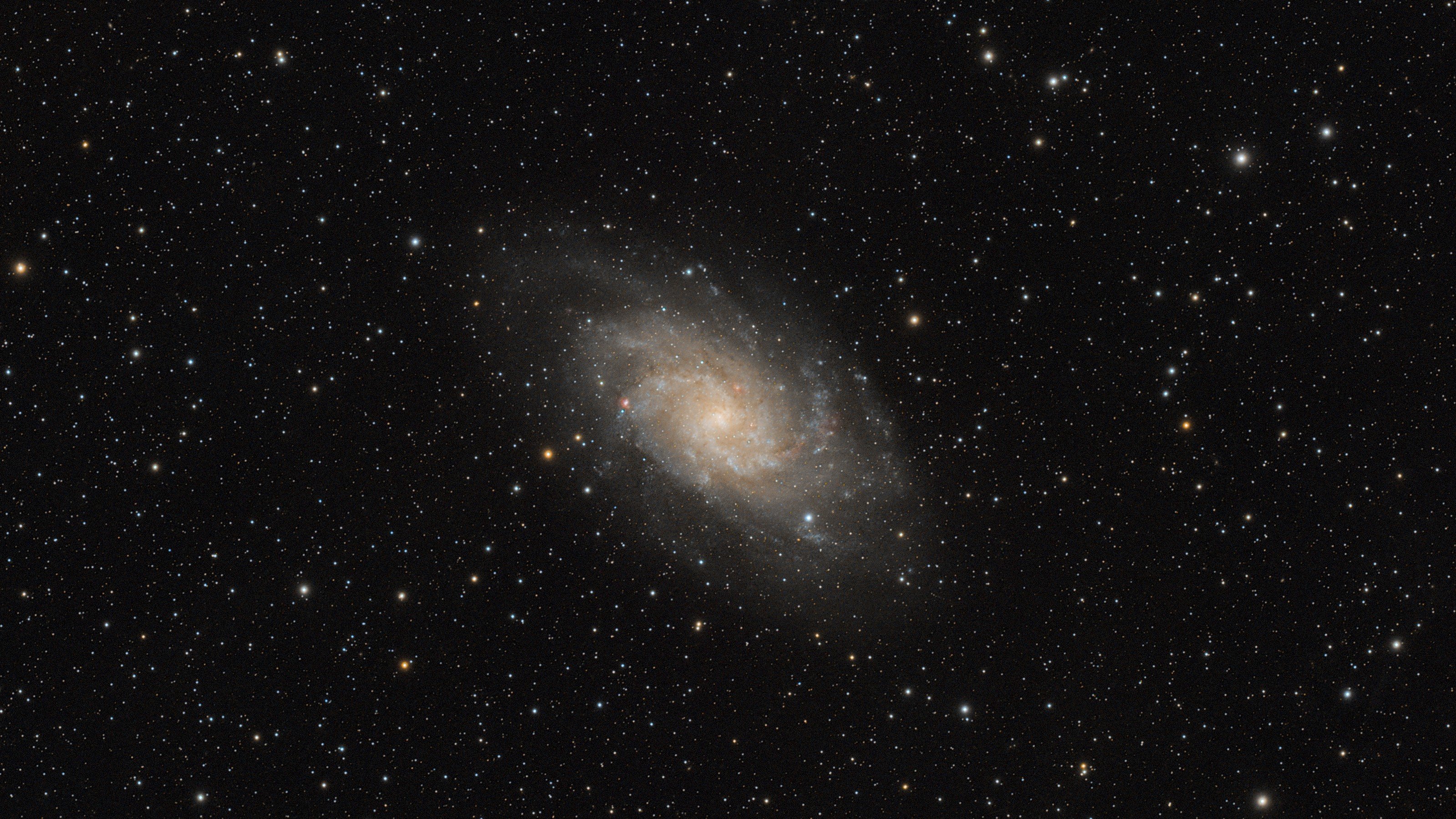 M33_C_054.jpg - Dreiecksgalaxie