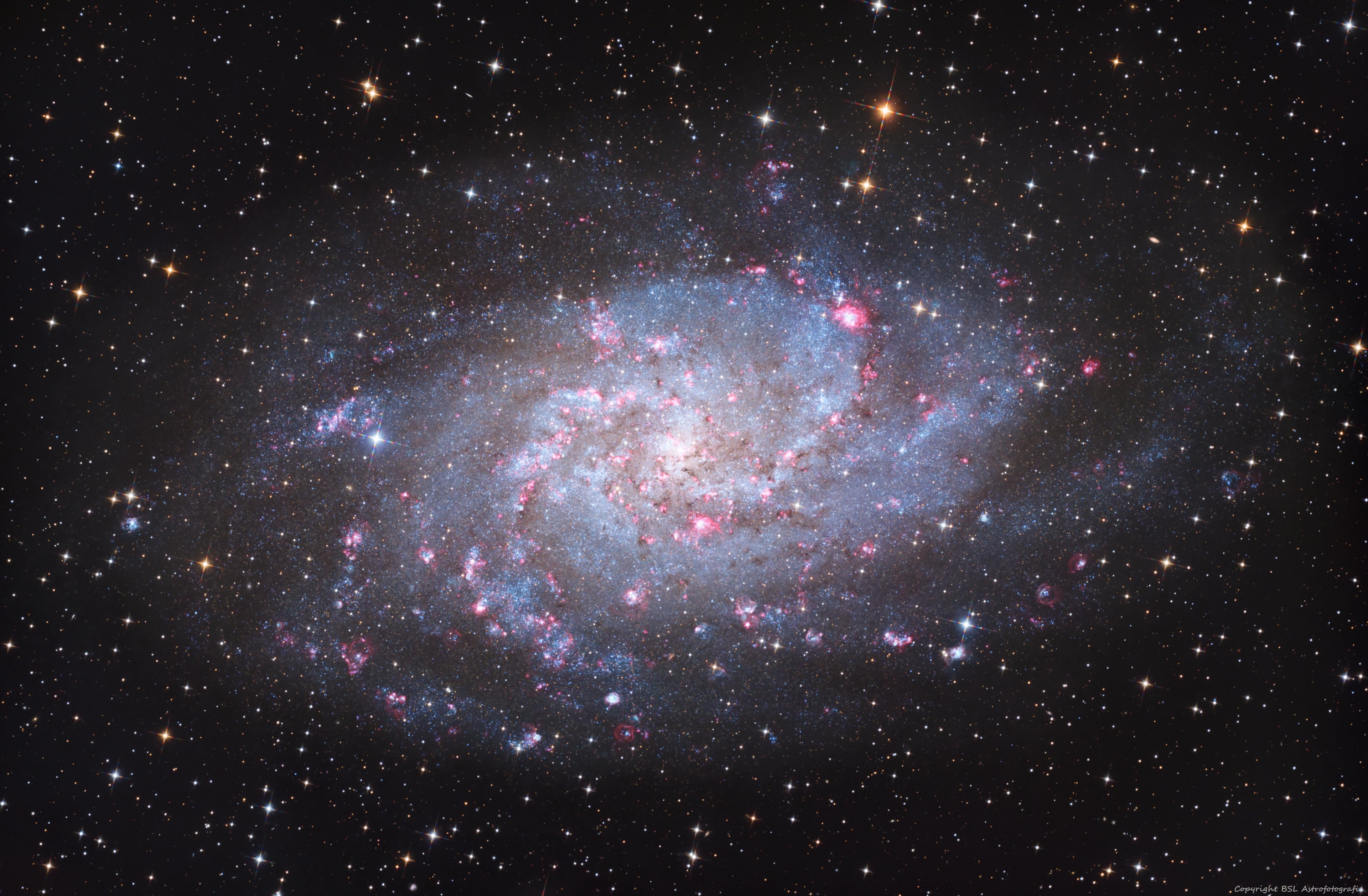 M33_Triangulum_20251123_Compress.jpg