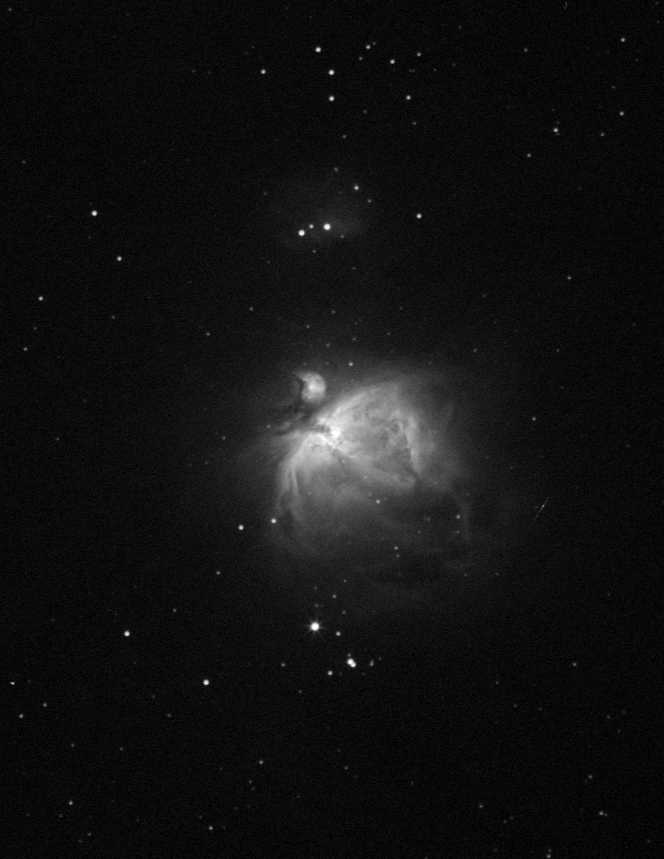 M42-Cropp-1.jpg