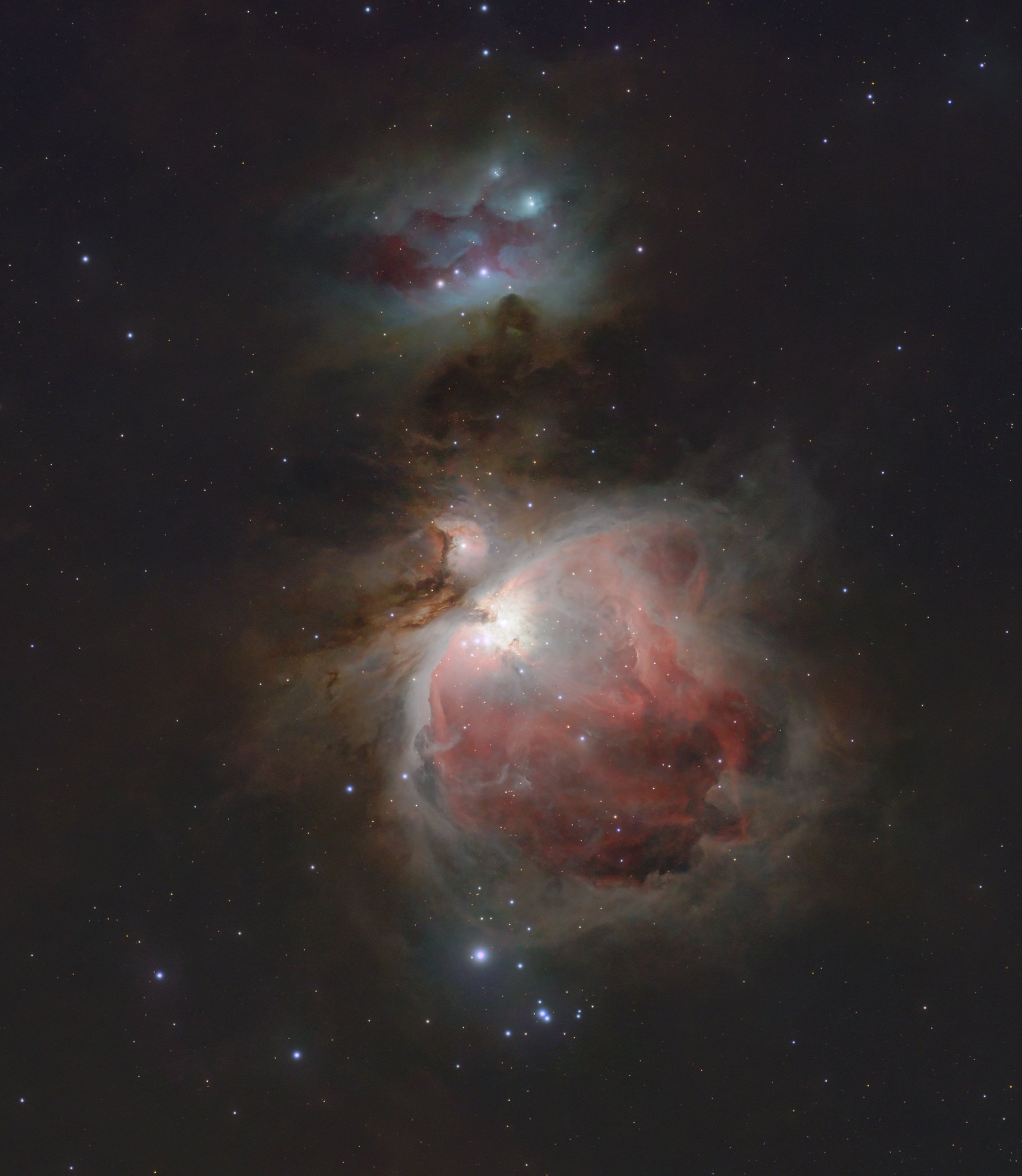 M42 mit dem Seestern