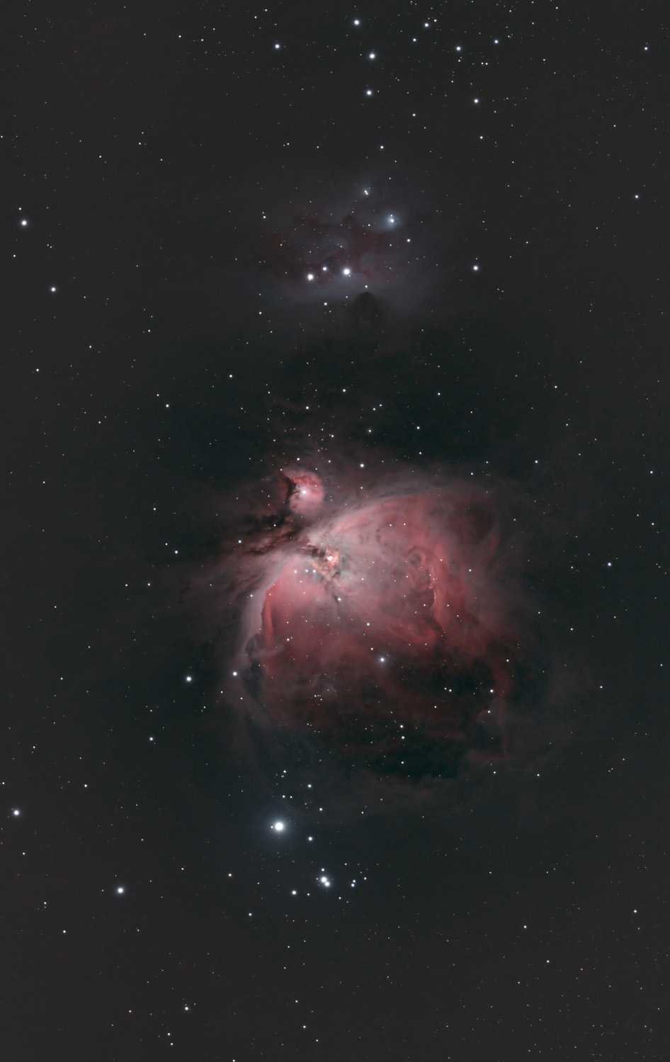 M42 mit nur 8x 180s Belichtungszeit