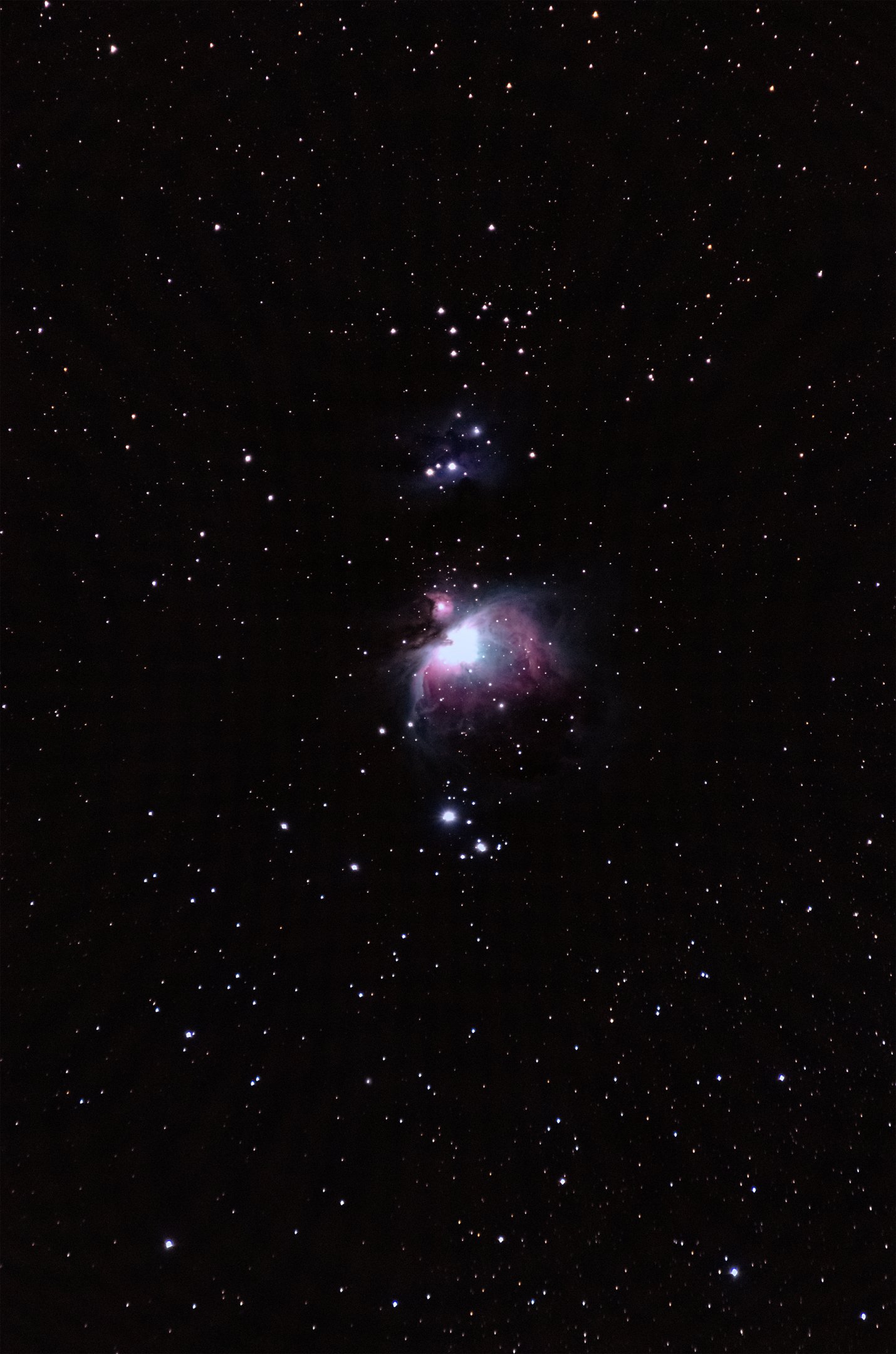 M42 widefield