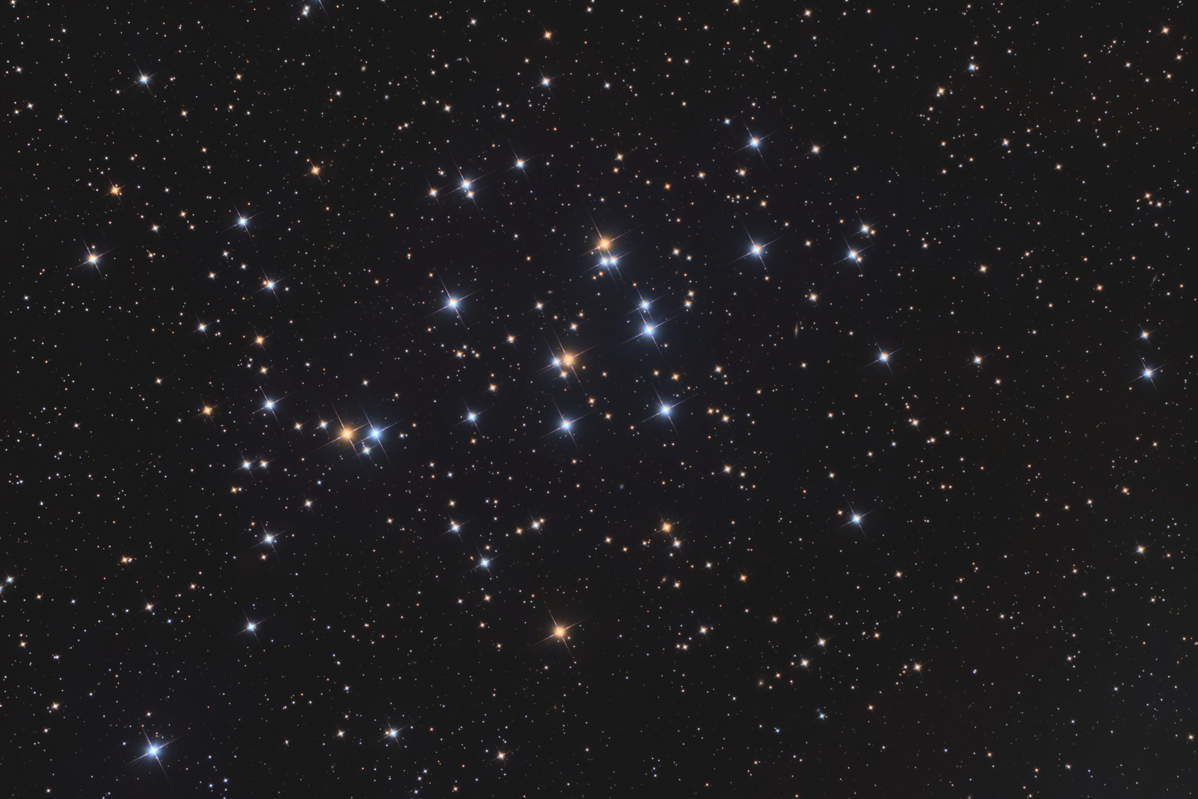 M44 Bienenkorb