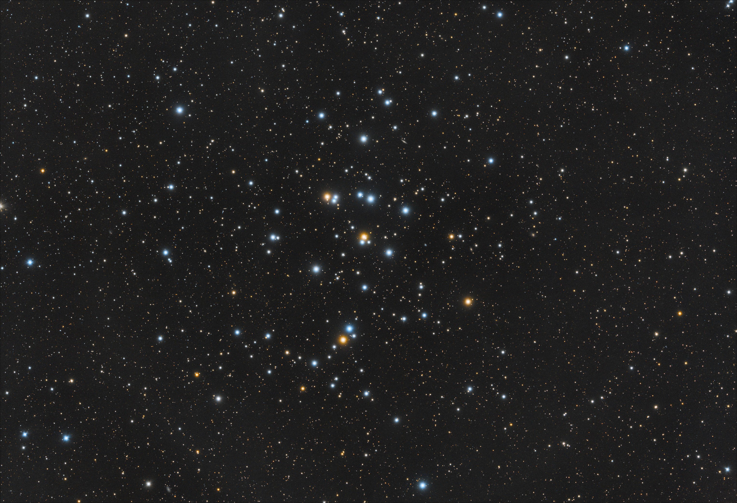 M44, Praesepe oder die Futterkrippe
