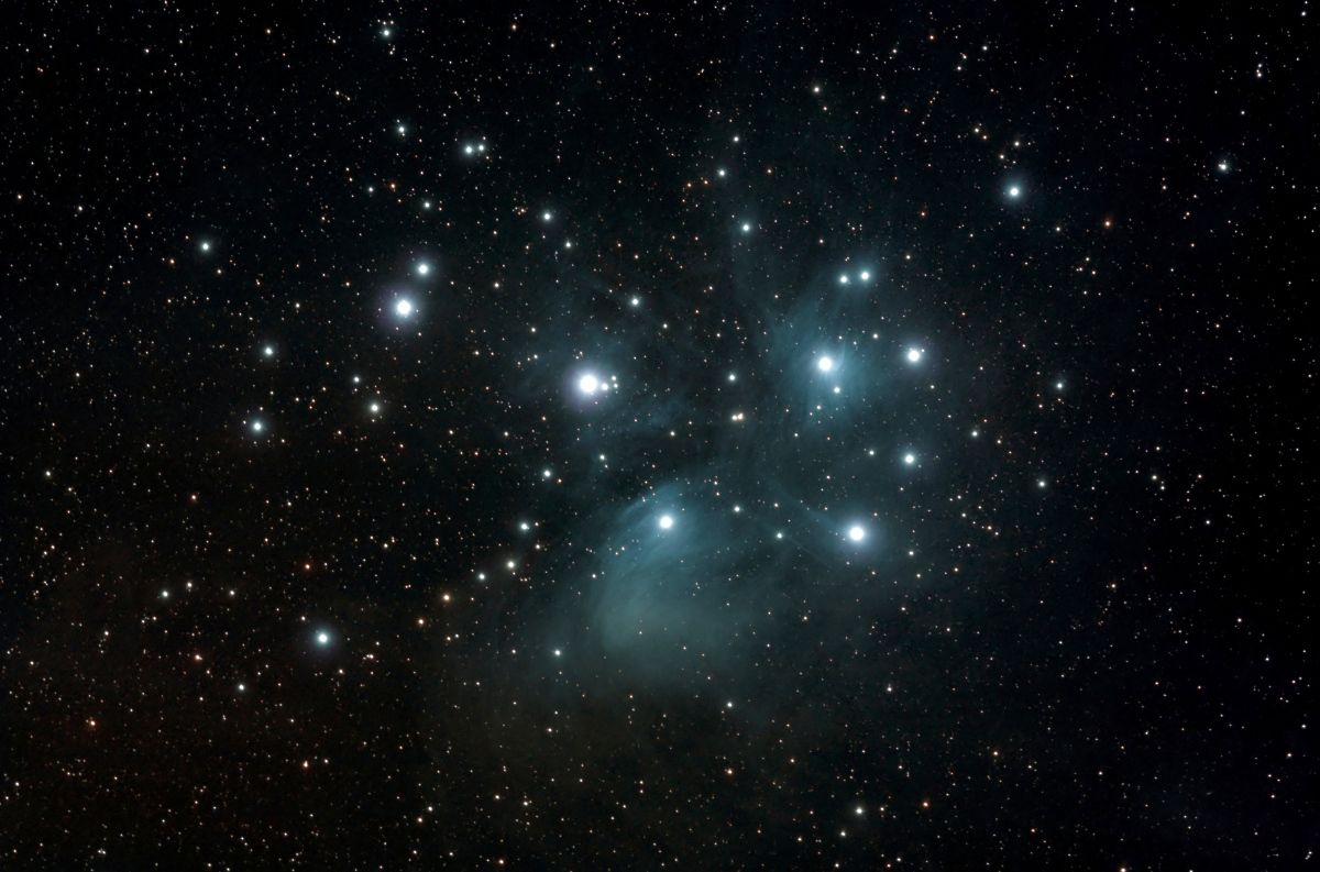M45 repro