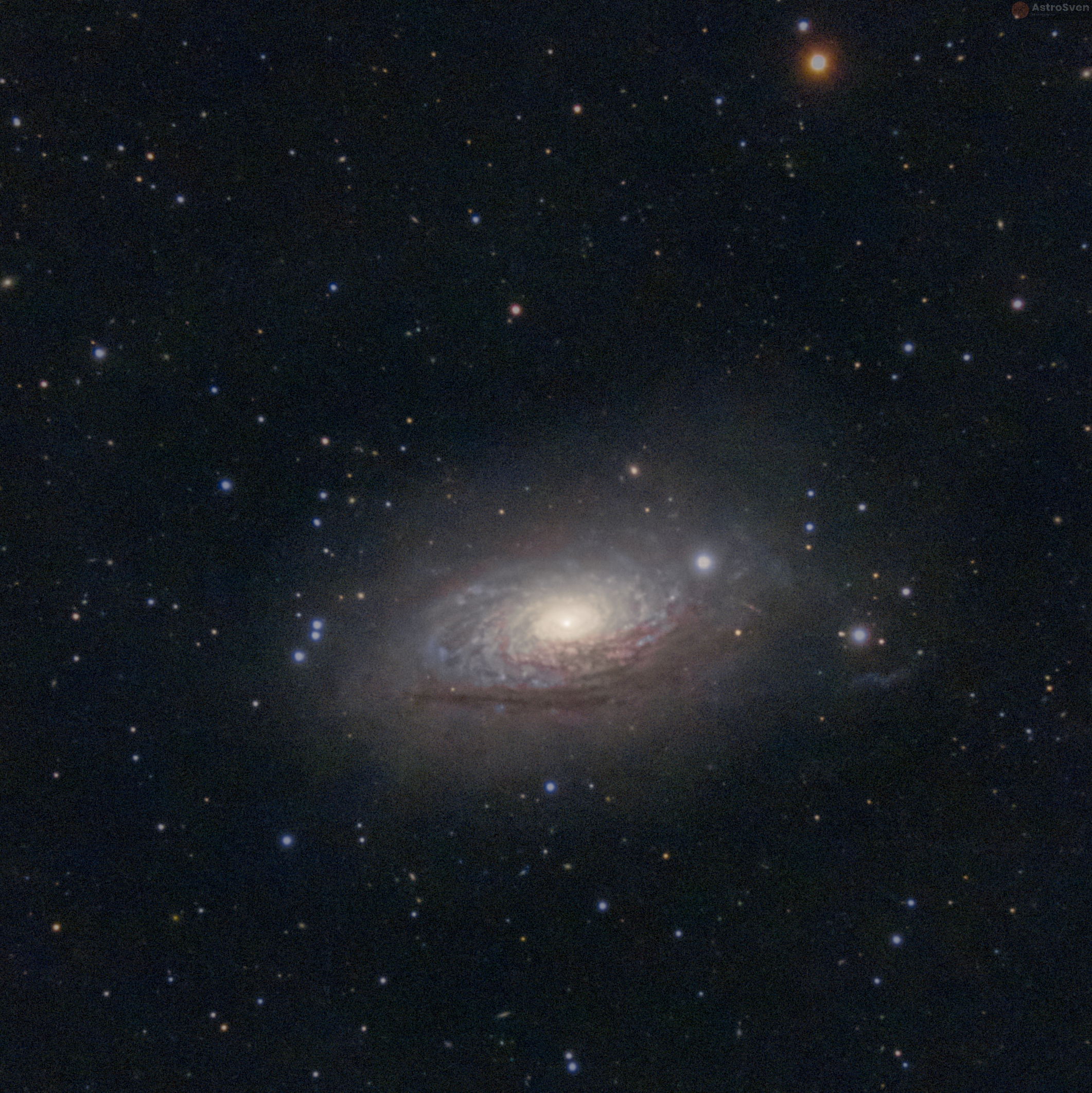 M63/NGC 5055