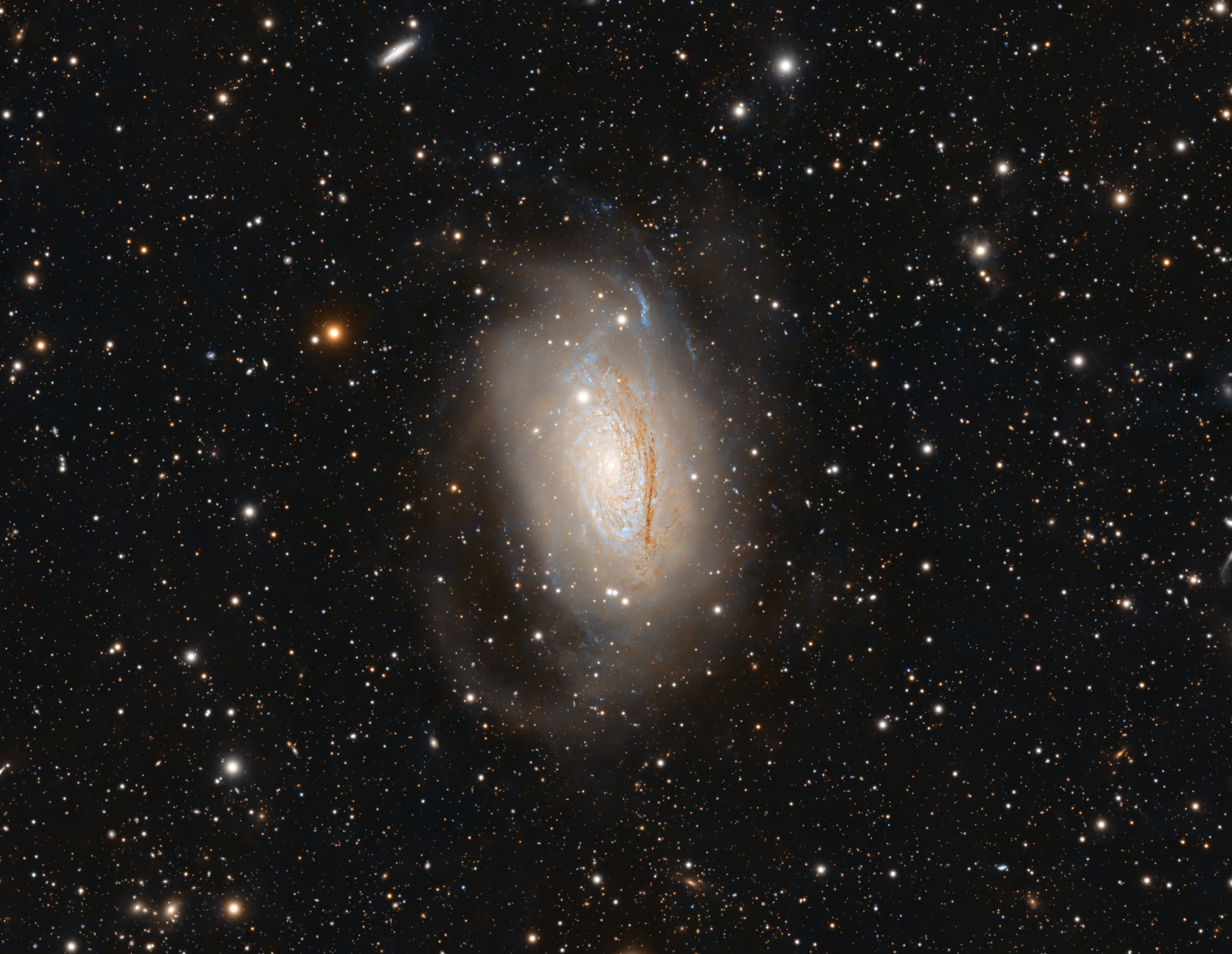 M63 RGB