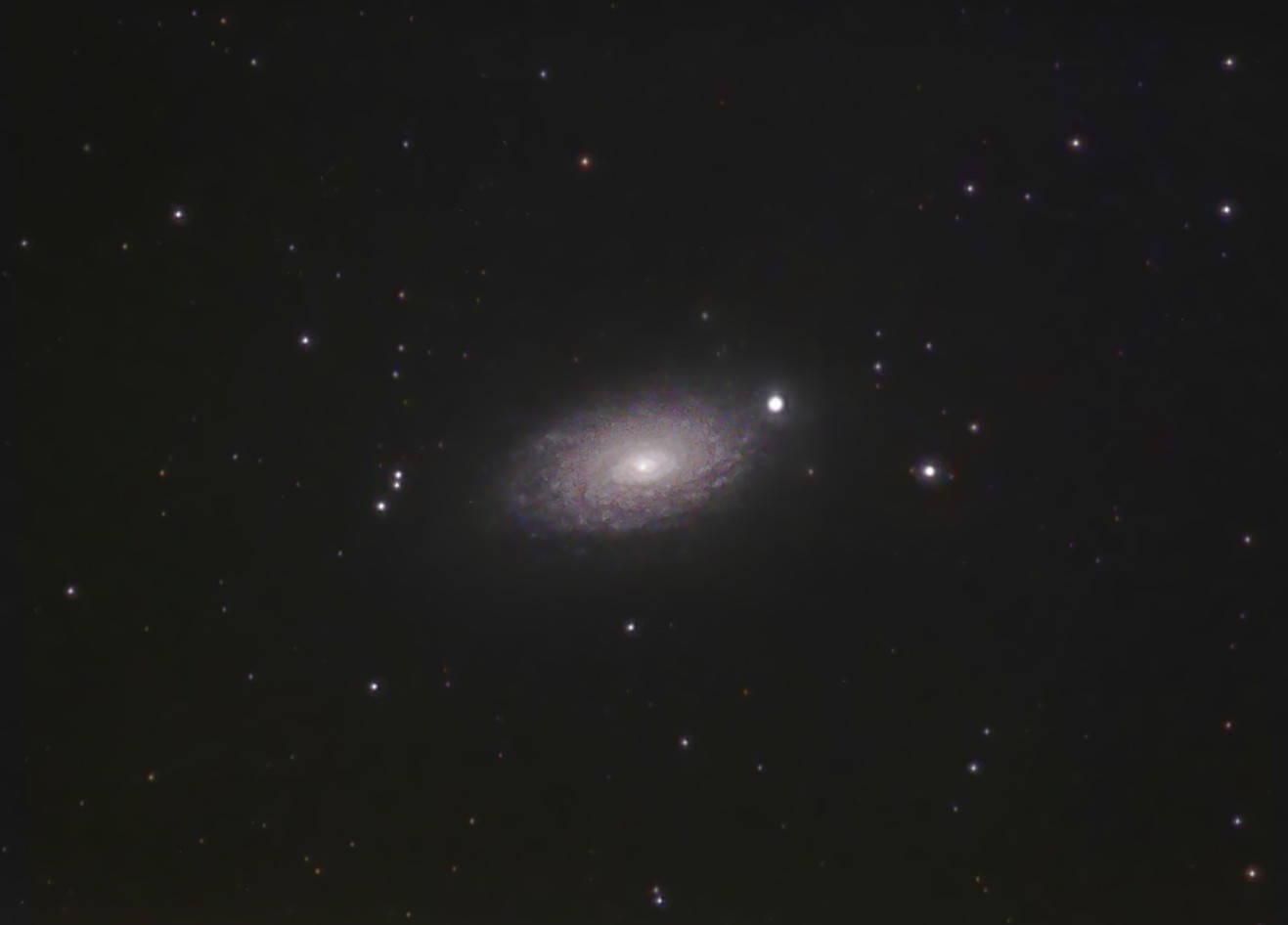 M63-Sonnenblume mit Beroflex 400mm
