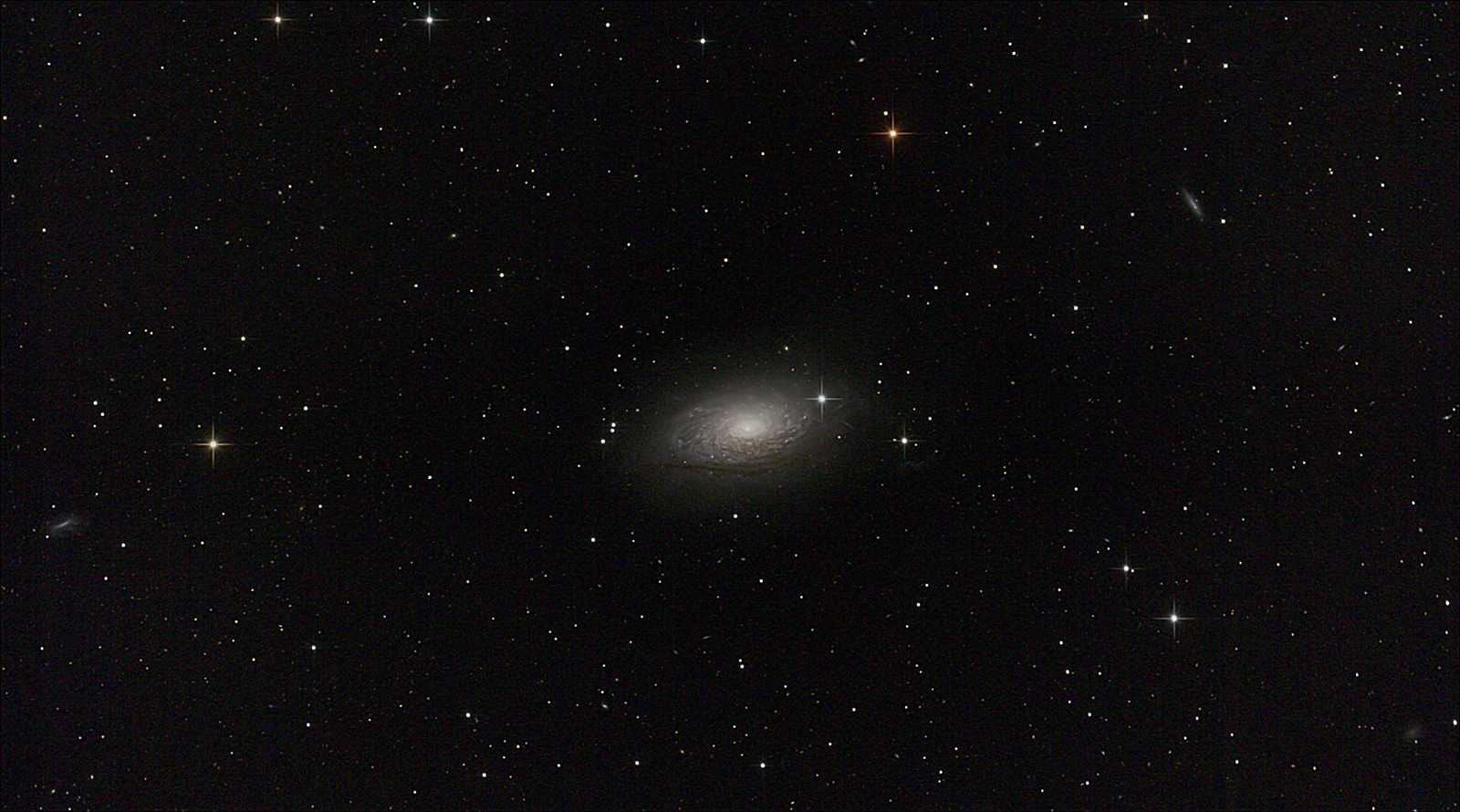 M63 - Sonnenblumen - Galaxie