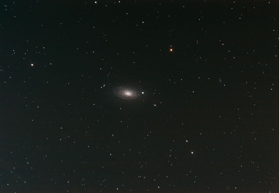 M63-Sunflower-Galaxie
