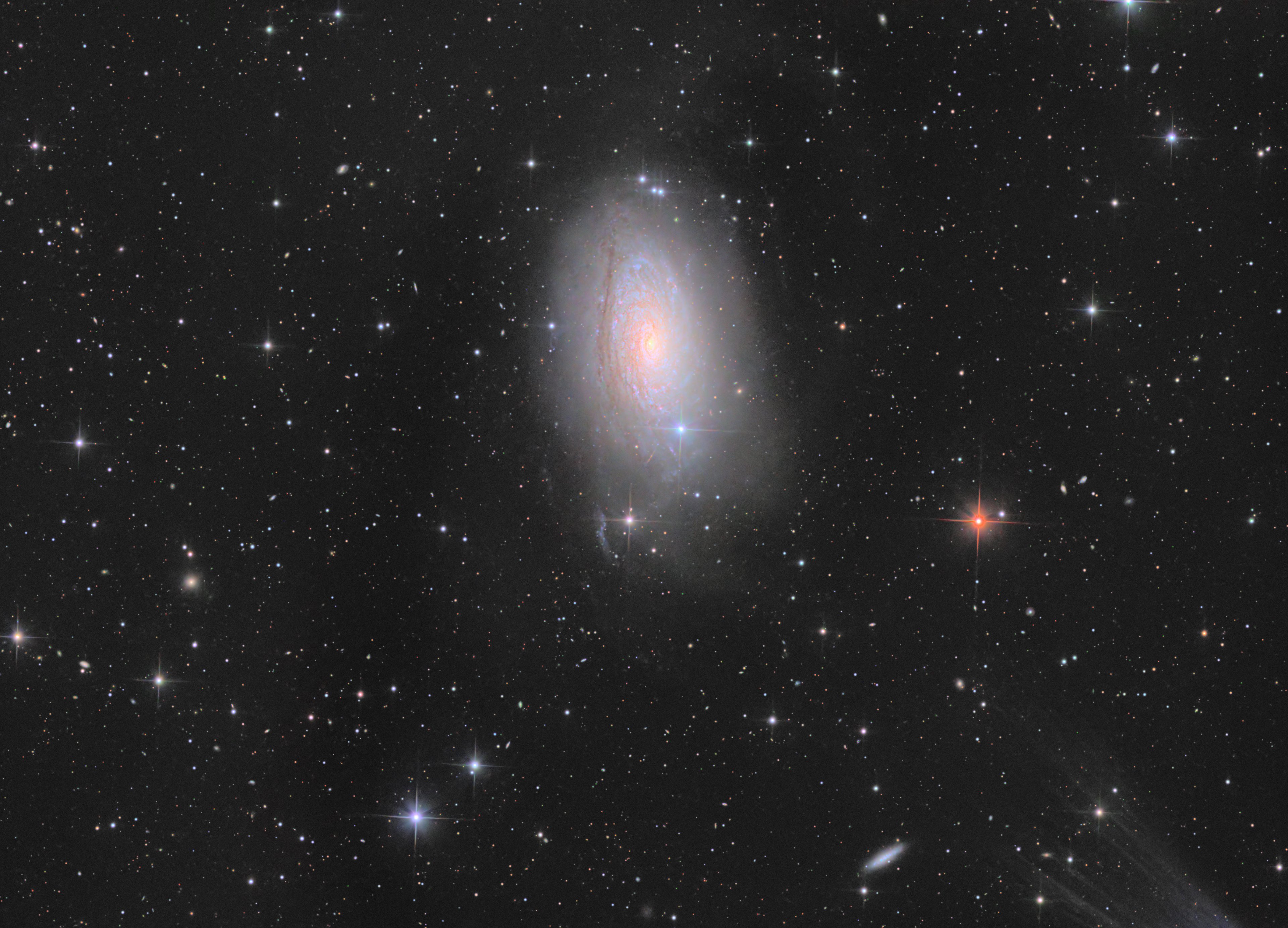 M63 Sunflower Galaxie