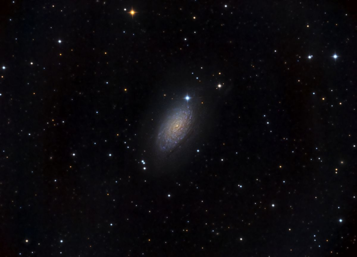 M63