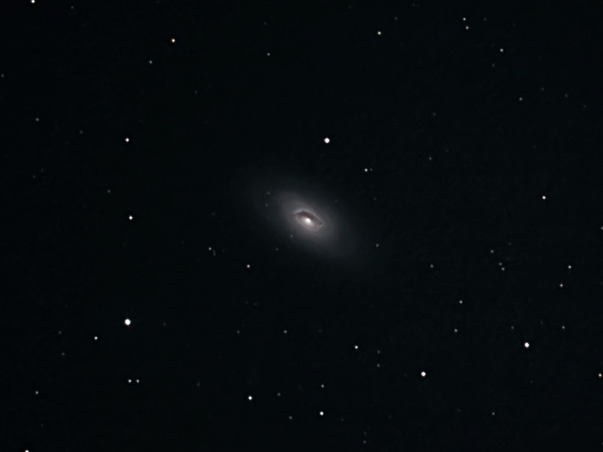 M64
