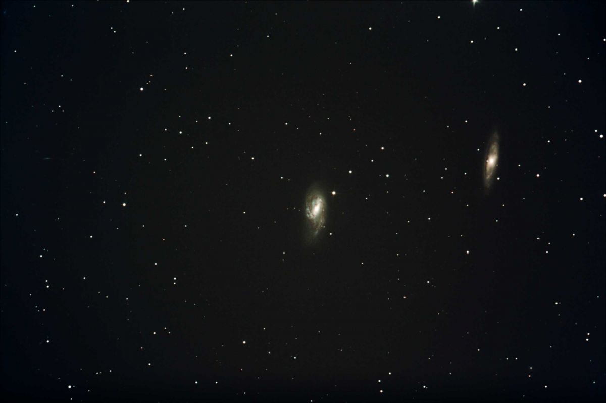 M65/66