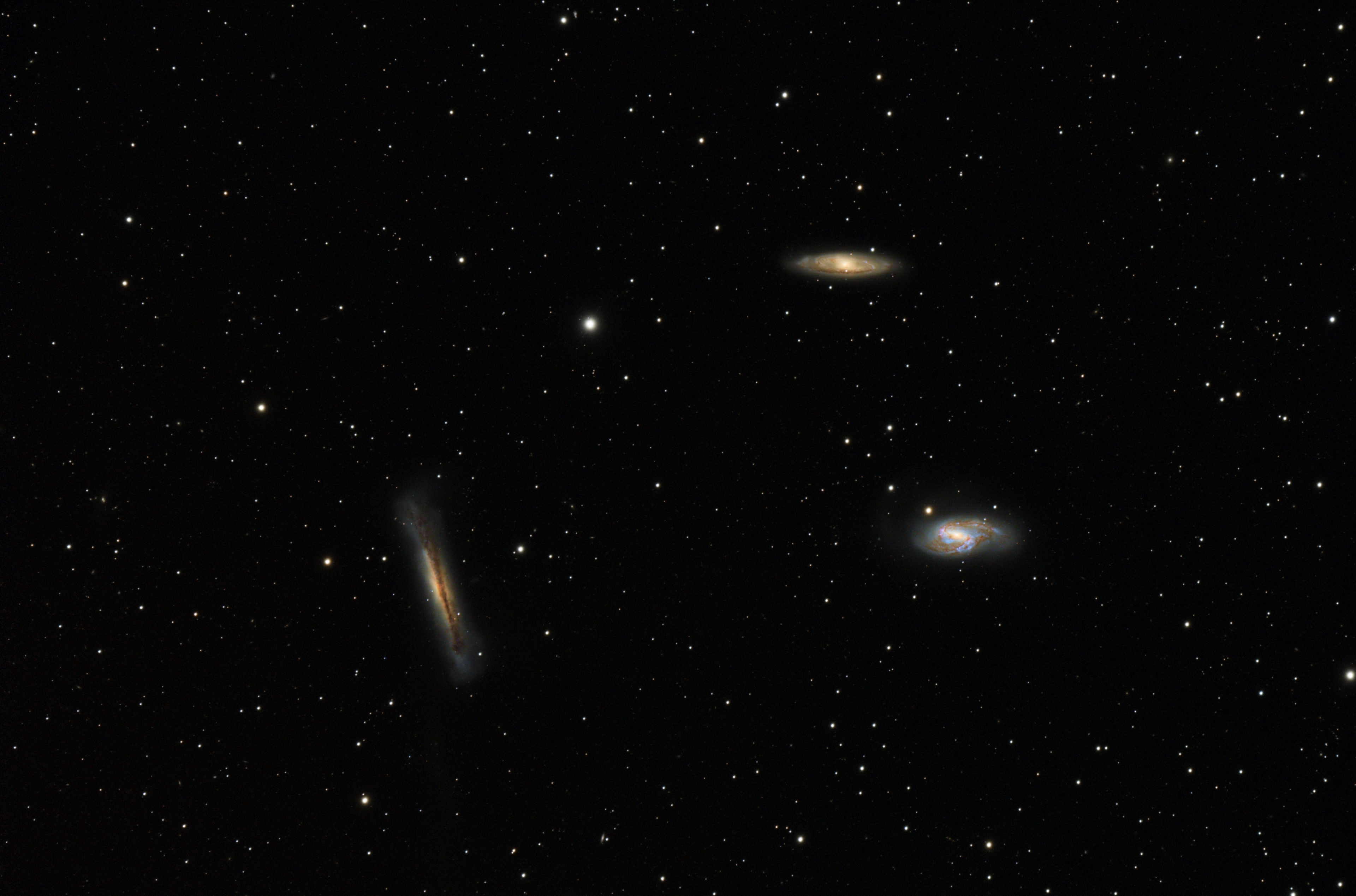 M65 - Leo Triplett