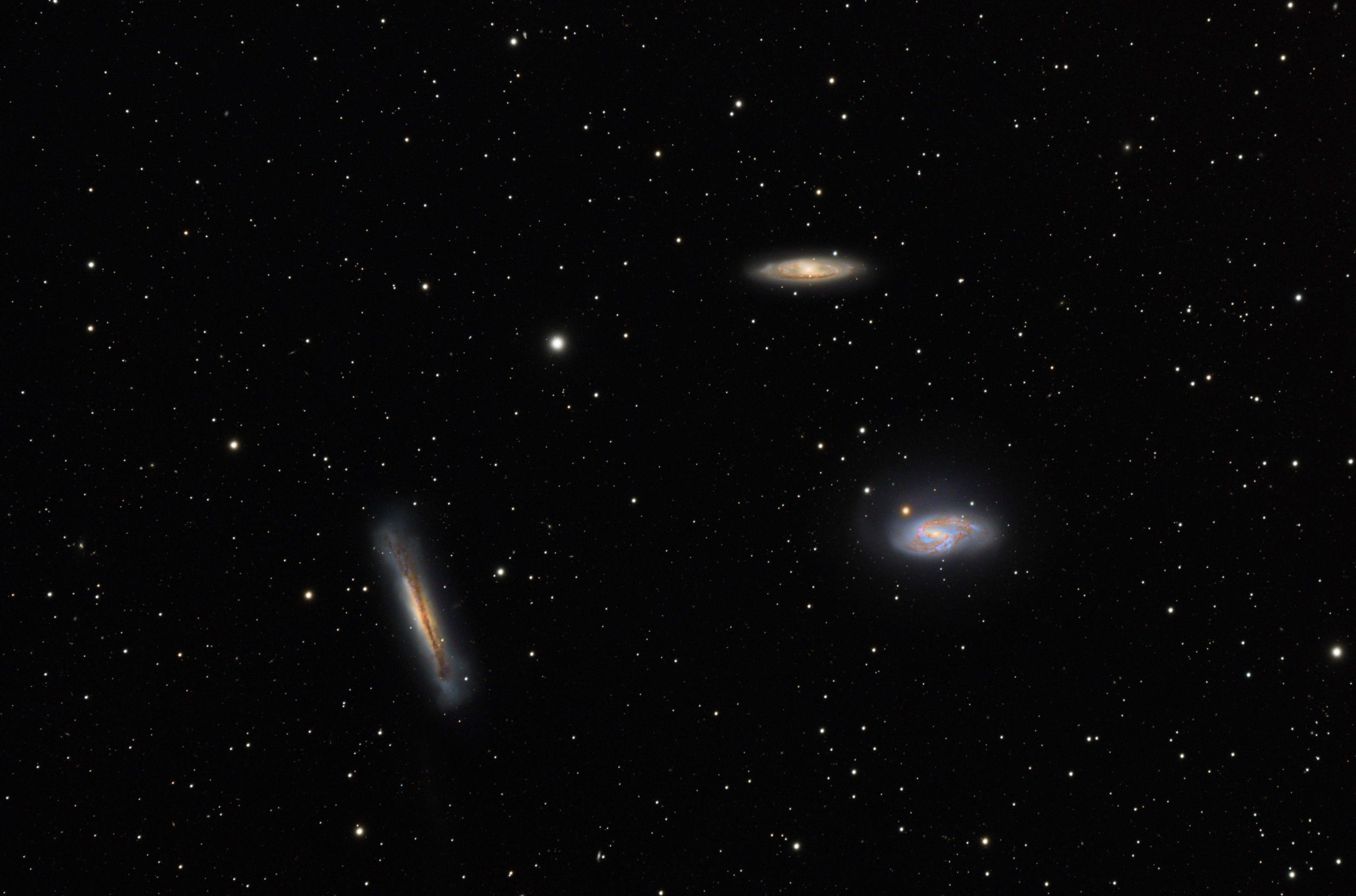 M65 Leo Triplett