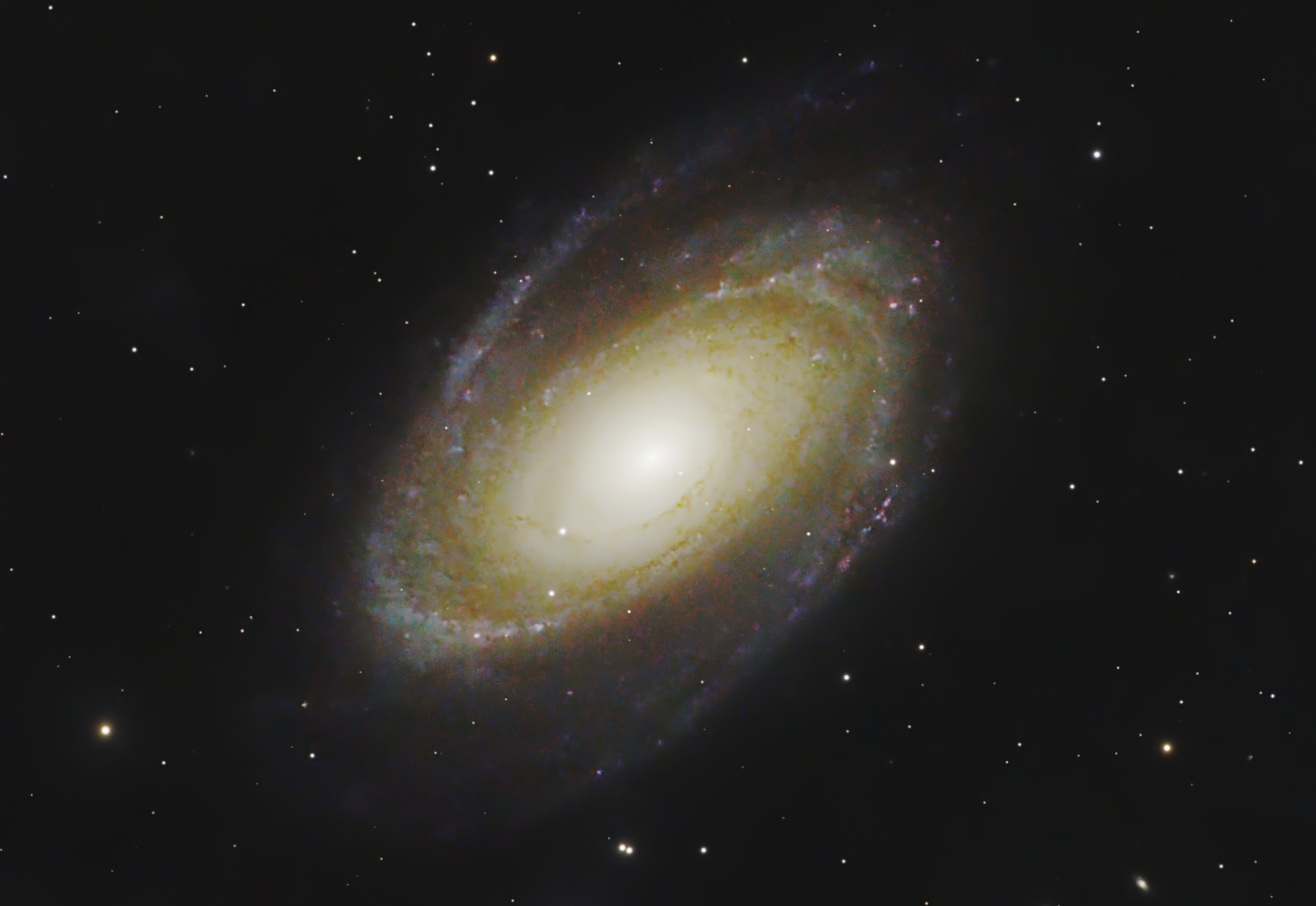 M81 aus der Stadt