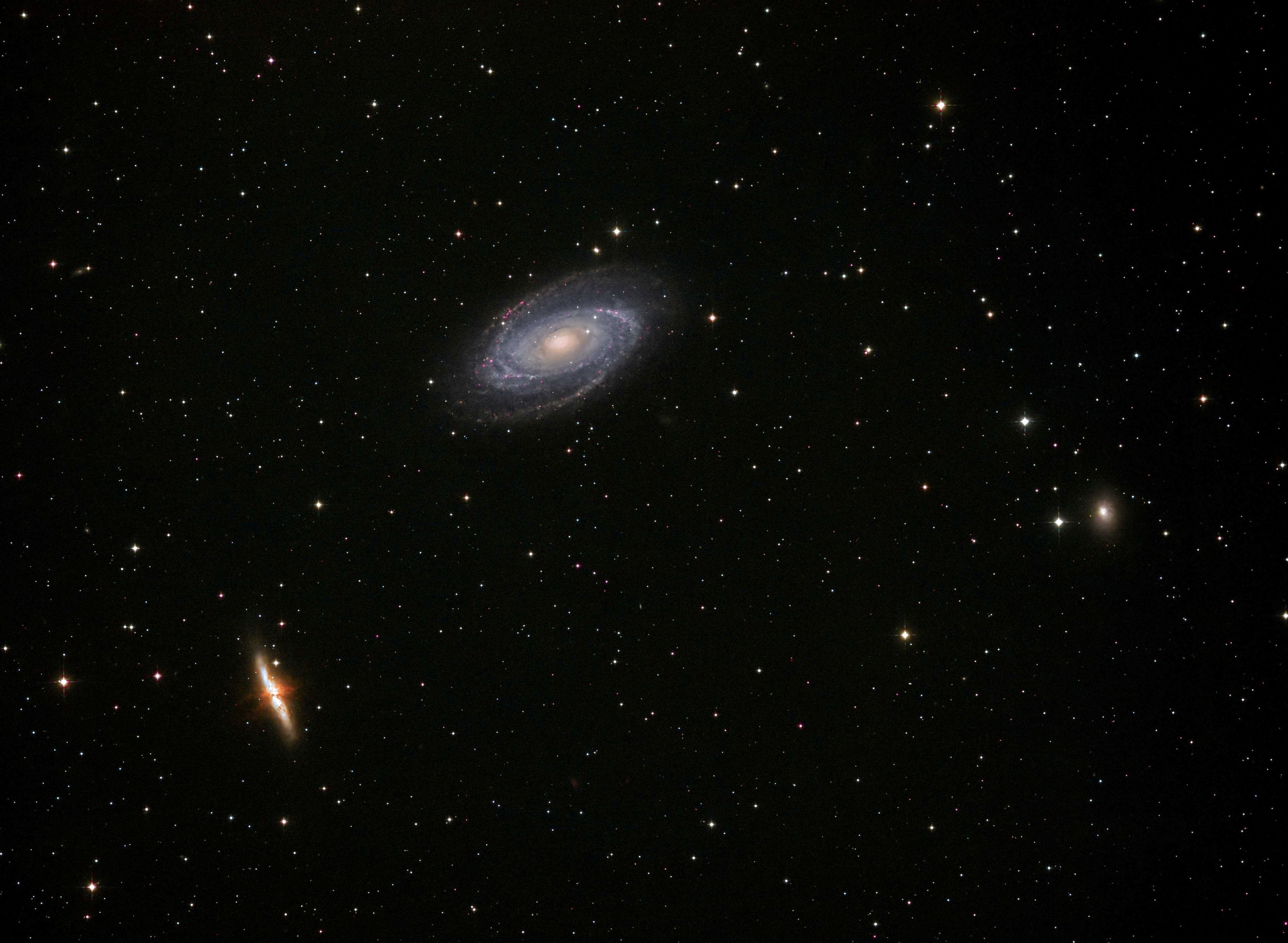 M81.Bode.