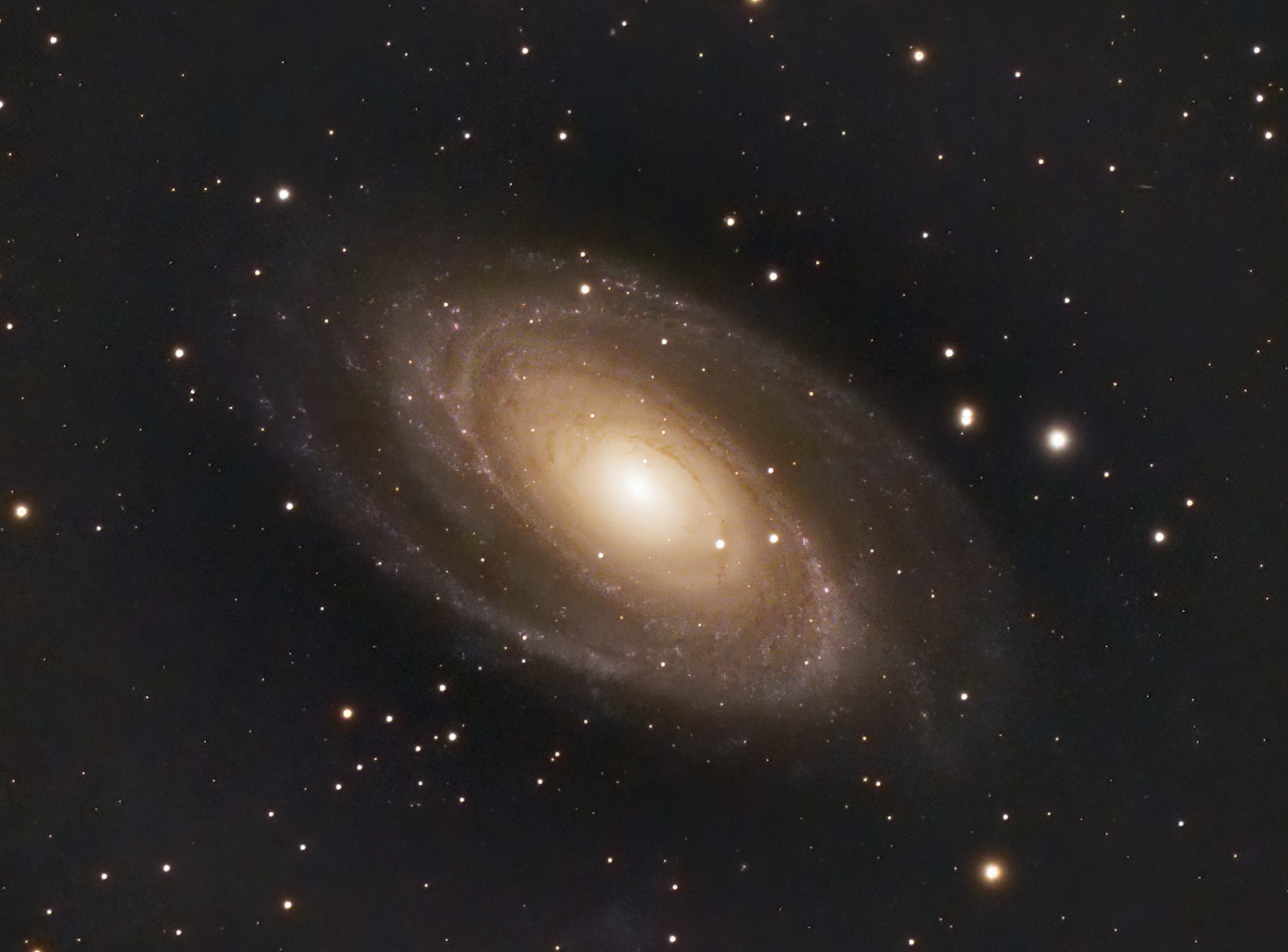 M81 (OSC)