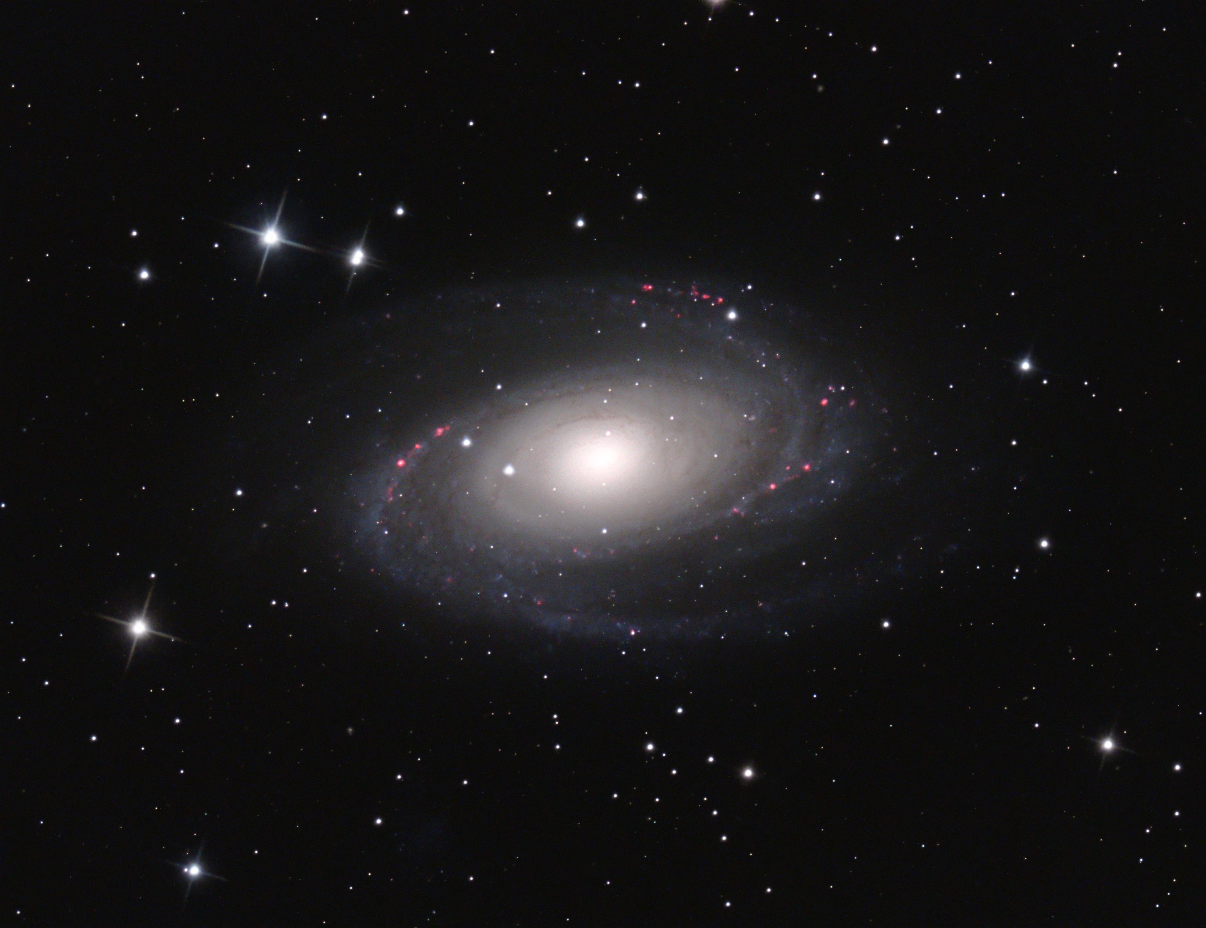 M81 RGB + Ha