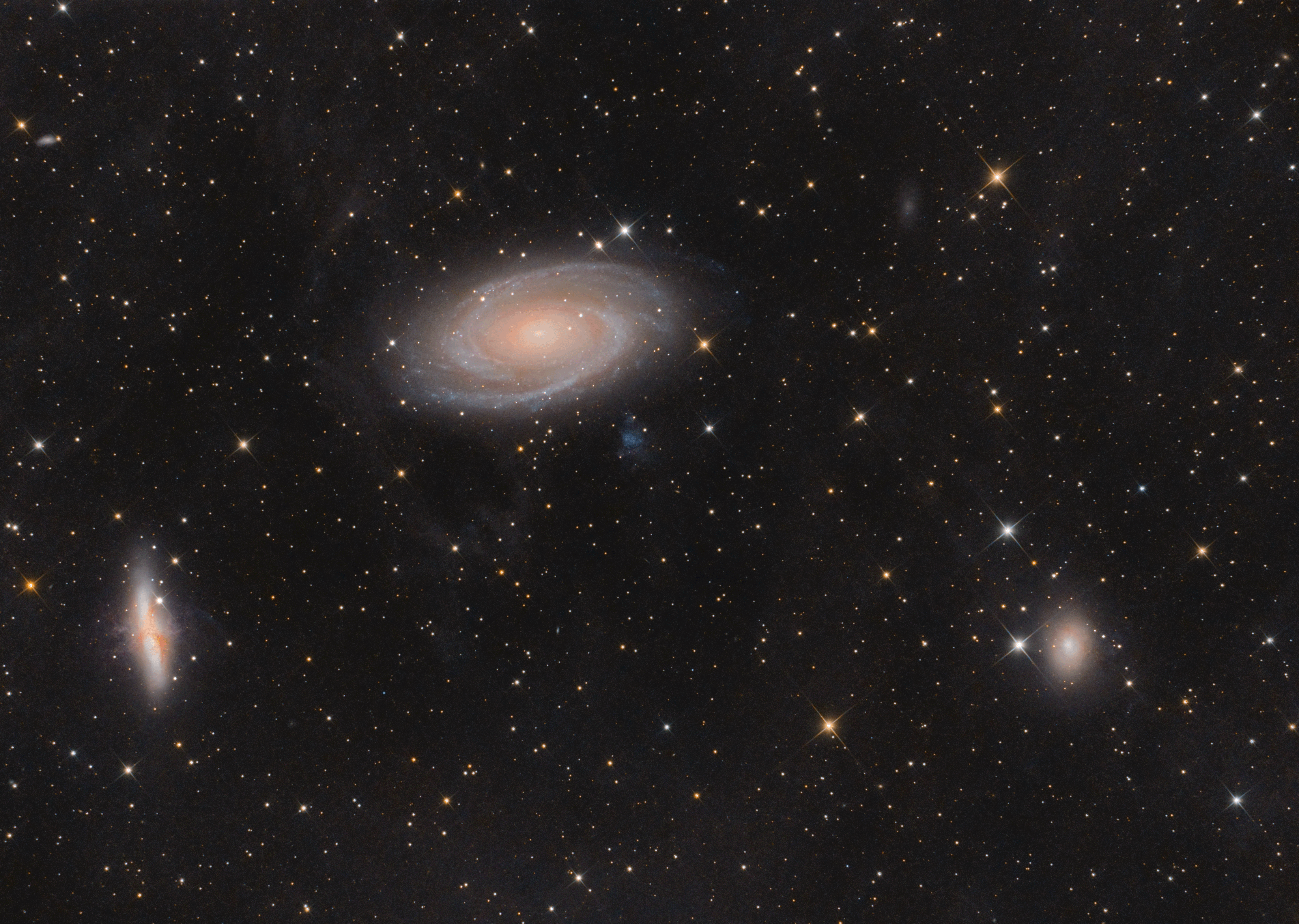 M81 und Umgebung