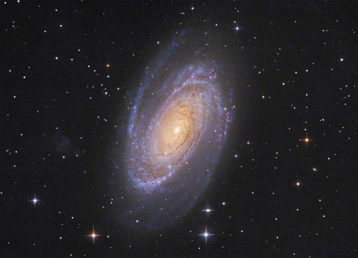 M81