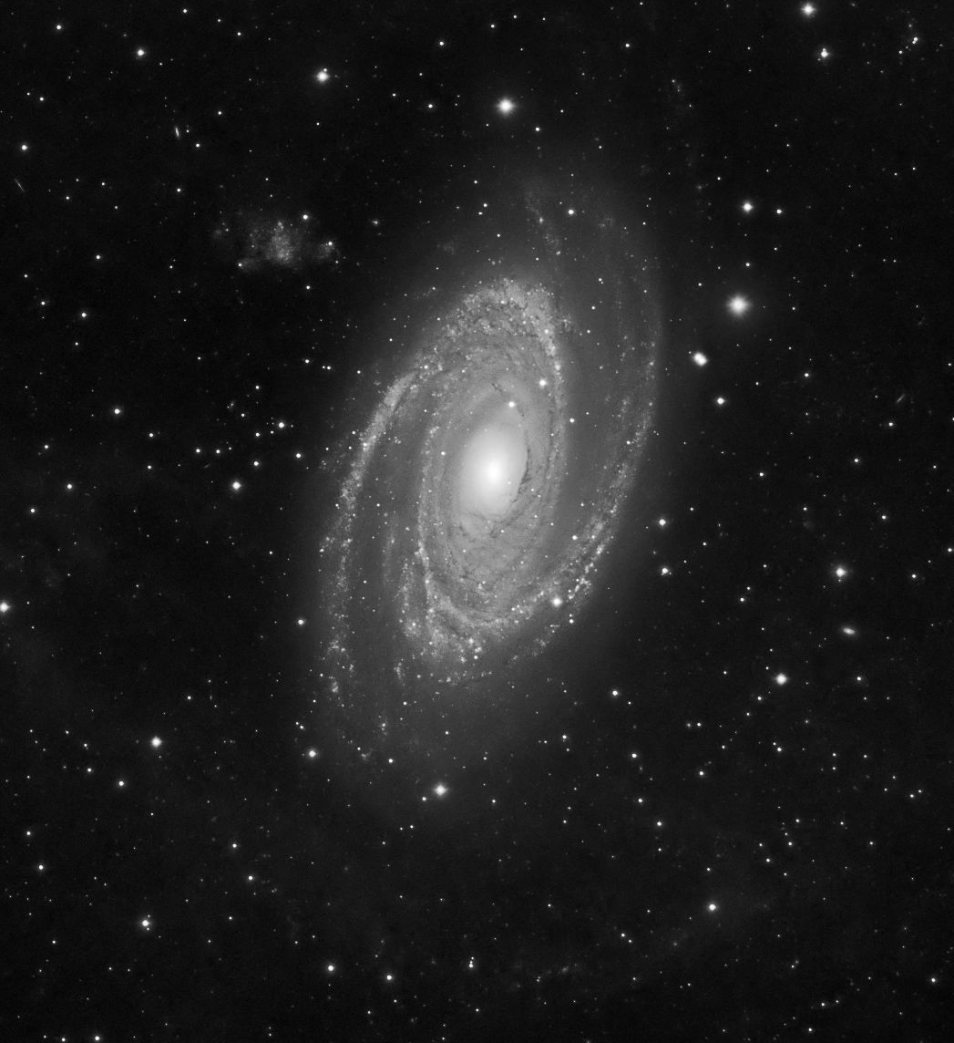 M81